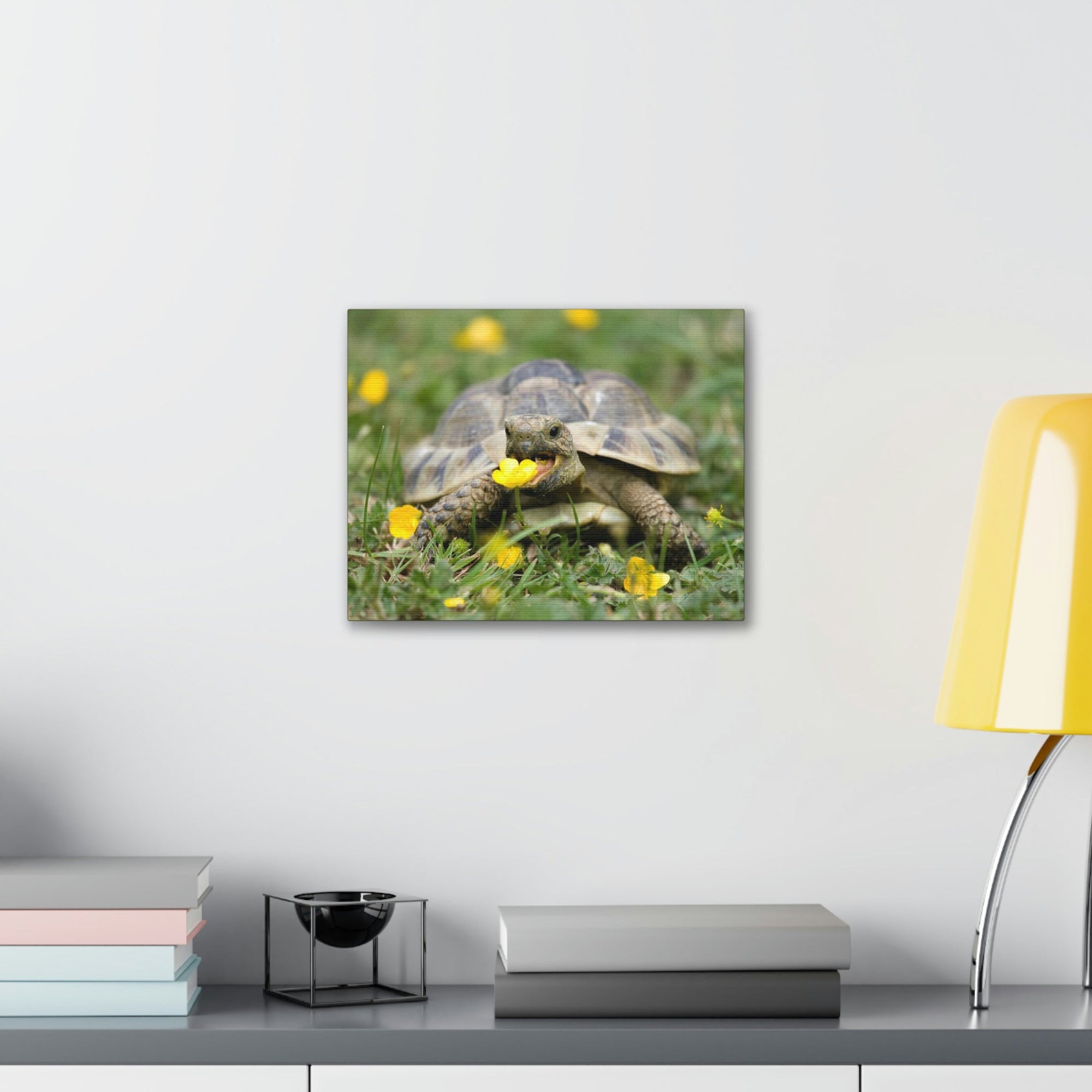 Scripture Walls Tortoise Hunting Tortoise on Hunt Print Animal Wall Art Wildlife Canvas Prints Wall Art Ready to Hang Unframed-Express Your Love Gifts