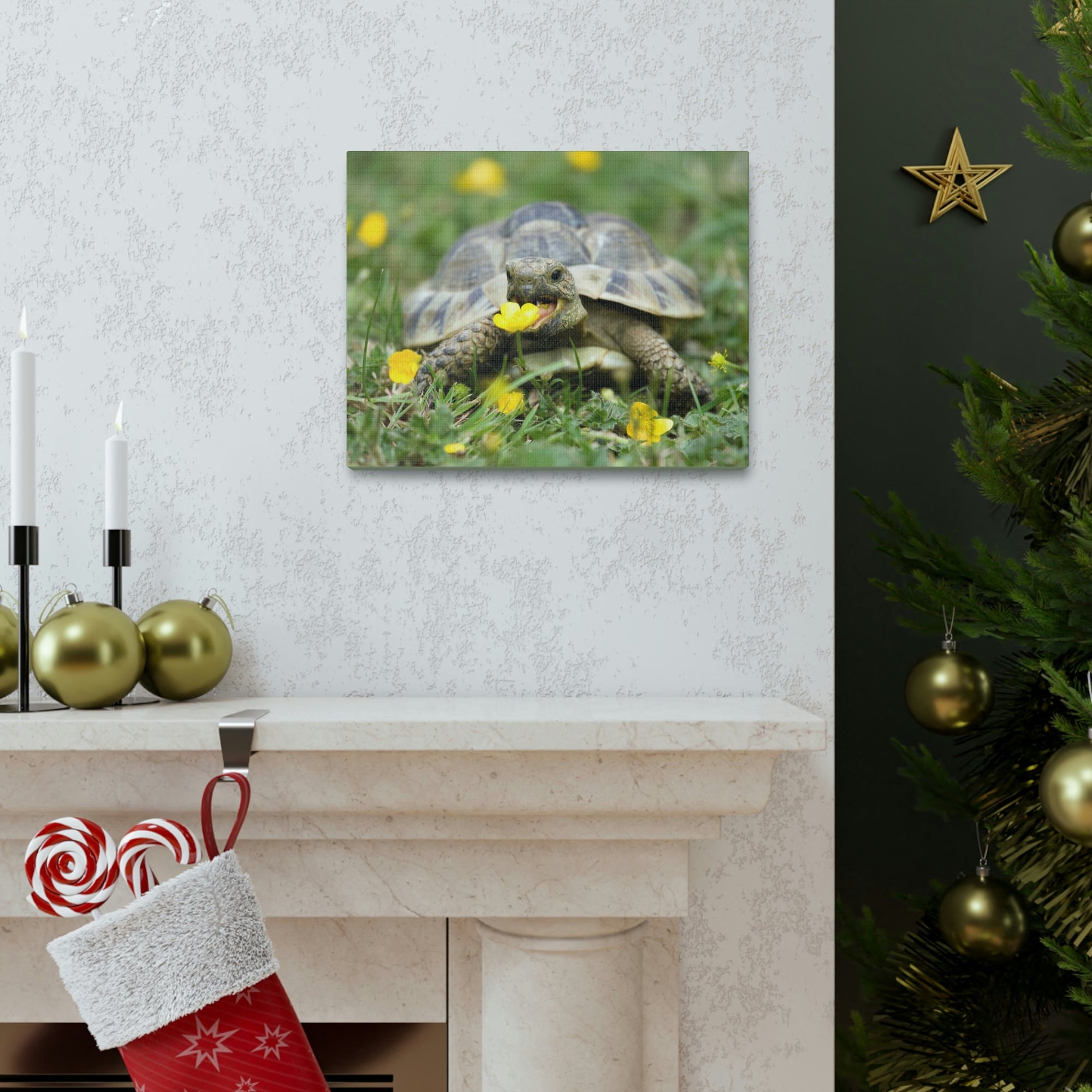 Scripture Walls Tortoise Hunting Tortoise on Hunt Print Animal Wall Art Wildlife Canvas Prints Wall Art Ready to Hang Unframed-Express Your Love Gifts