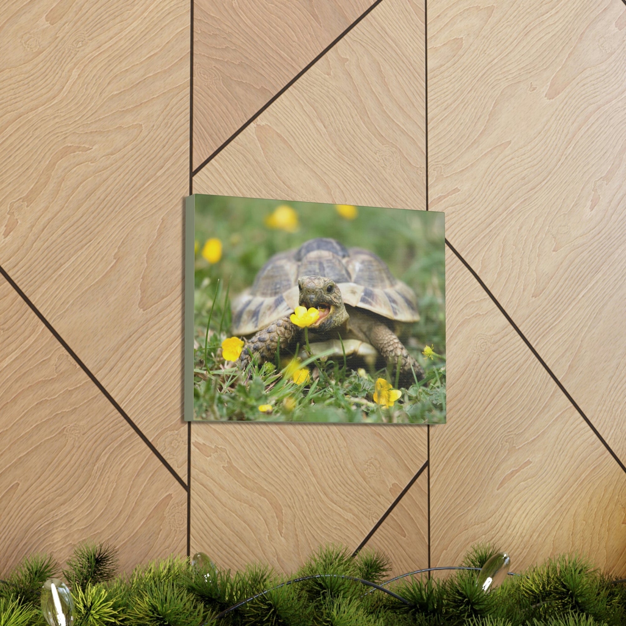 Scripture Walls Tortoise Hunting Tortoise on Hunt Print Animal Wall Art Wildlife Canvas Prints Wall Art Ready to Hang Unframed-Express Your Love Gifts