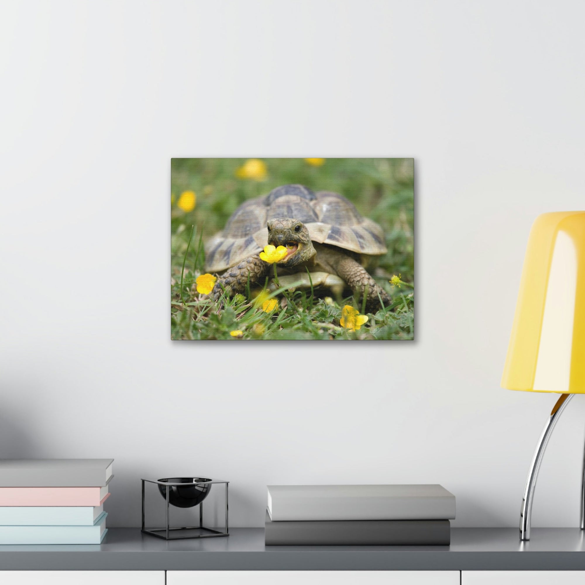 Scripture Walls Tortoise Hunting Tortoise on Hunt Print Animal Wall Art Wildlife Canvas Prints Wall Art Ready to Hang Unframed-Express Your Love Gifts