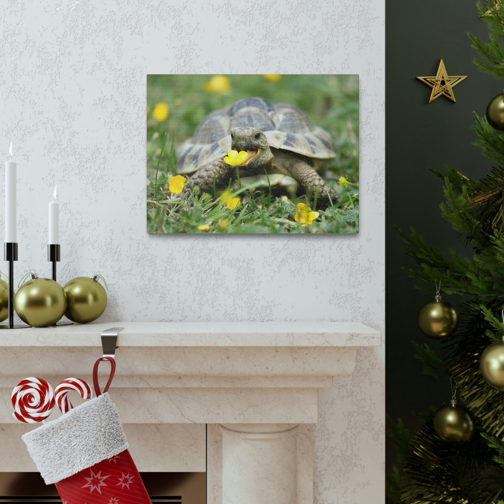 Scripture Walls Tortoise Hunting Tortoise on Hunt Print Animal Wall Art Wildlife Canvas Prints Wall Art Ready to Hang Unframed-Express Your Love Gifts