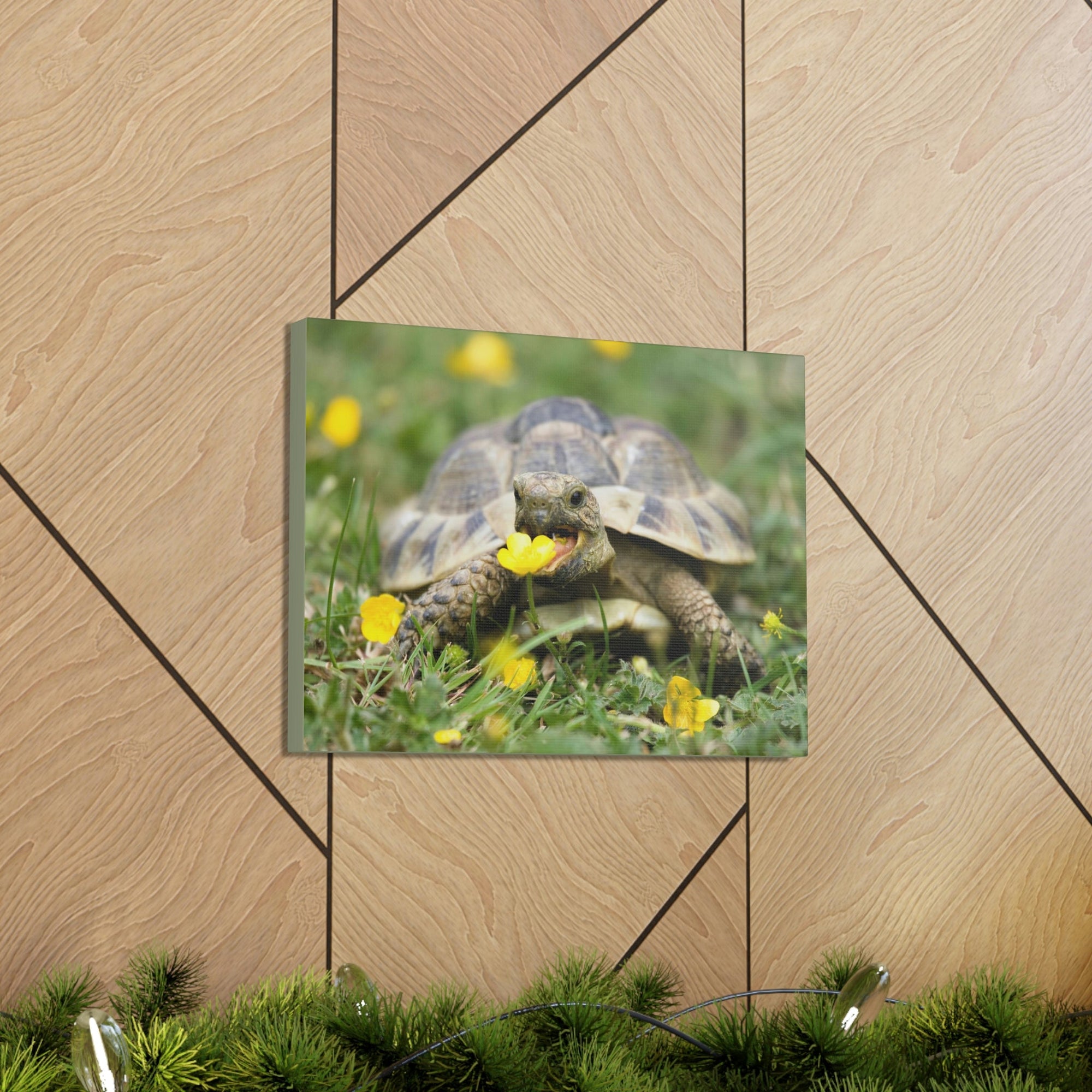 Scripture Walls Tortoise Hunting Tortoise on Hunt Print Animal Wall Art Wildlife Canvas Prints Wall Art Ready to Hang Unframed-Express Your Love Gifts