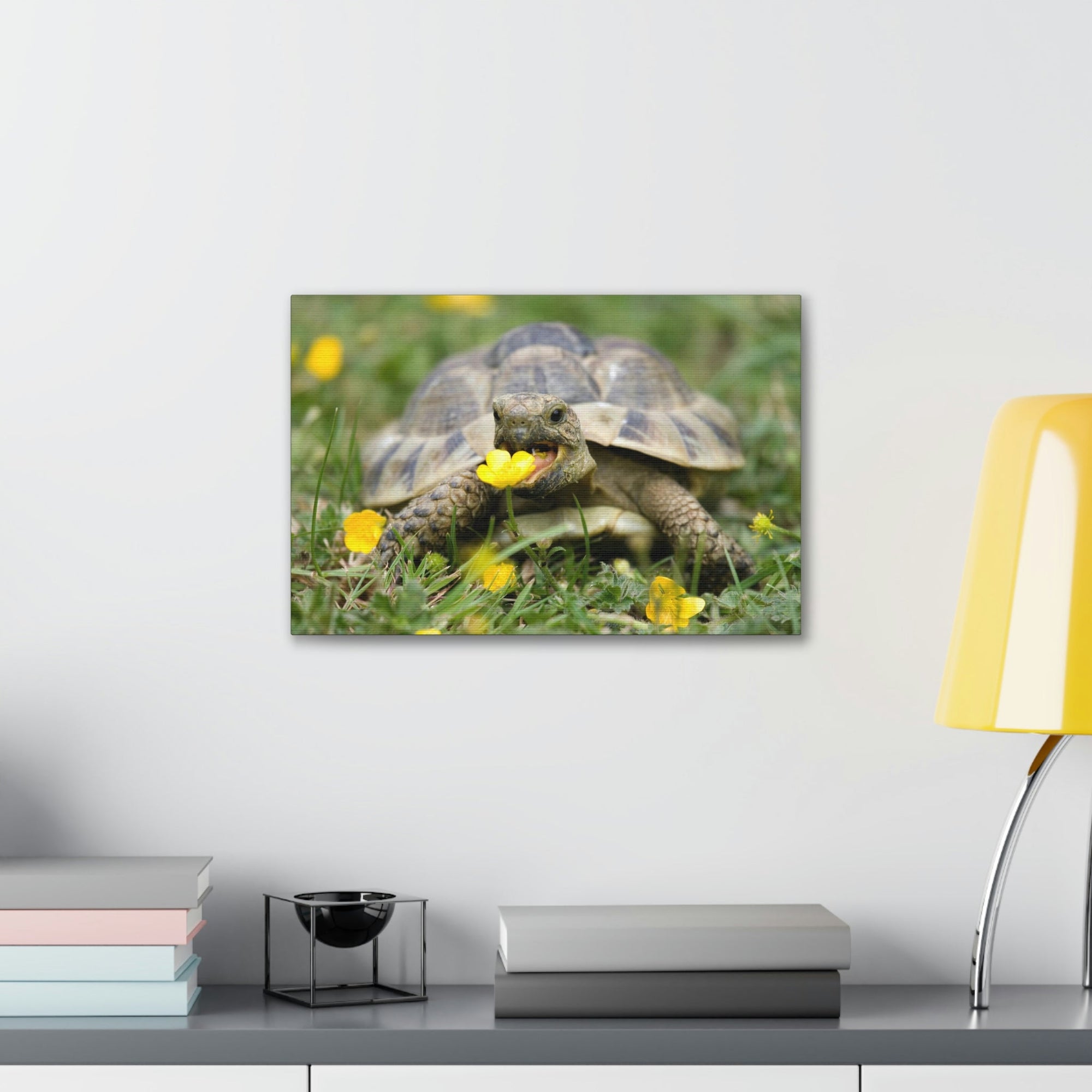 Scripture Walls Tortoise Hunting Tortoise on Hunt Print Animal Wall Art Wildlife Canvas Prints Wall Art Ready to Hang Unframed-Express Your Love Gifts