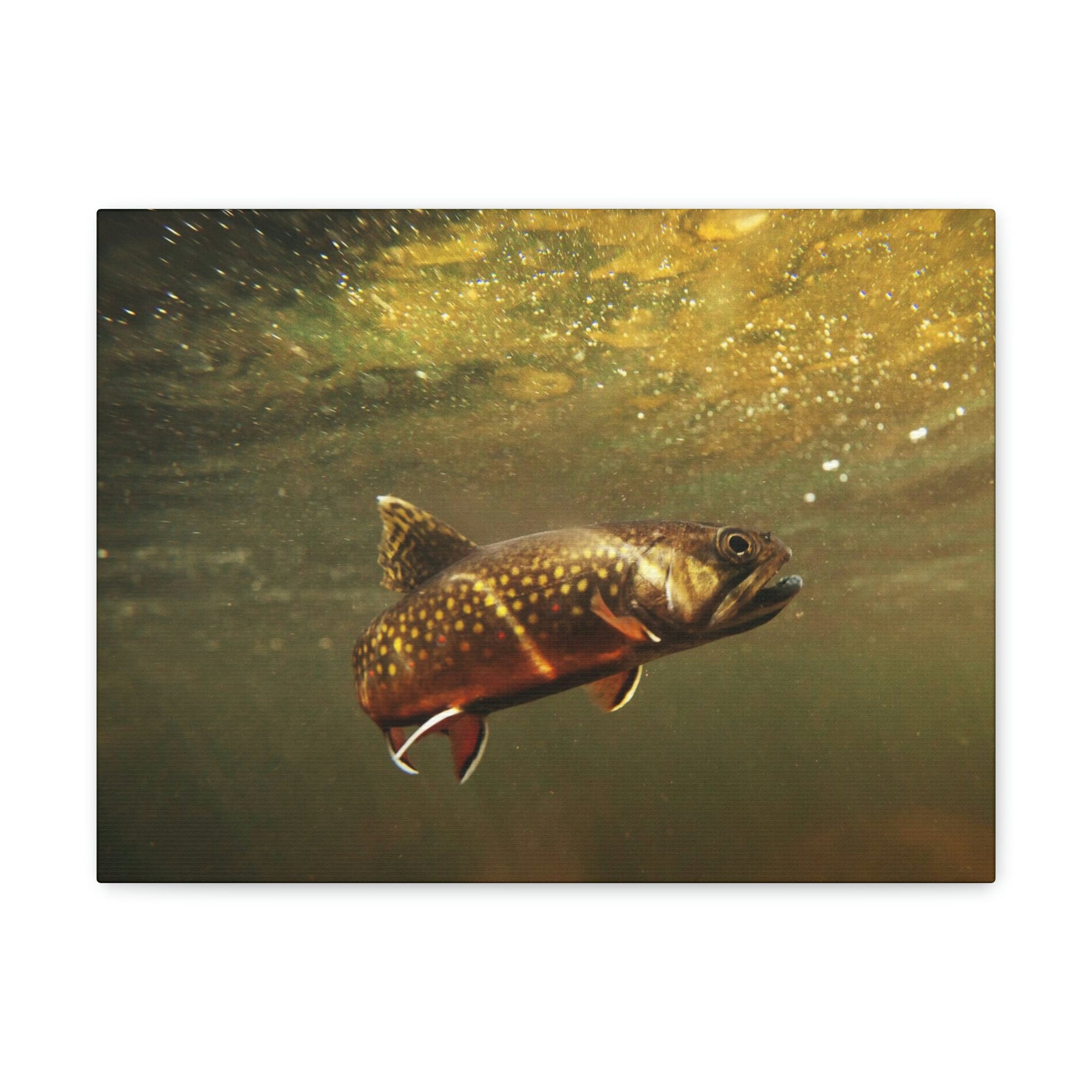 Scripture Walls Trout Hunting Trout on Hunt Print Animal Wall Art Wildlife Canvas Prints Wall Art Ready to Hang Unframed-Express Your Love Gifts