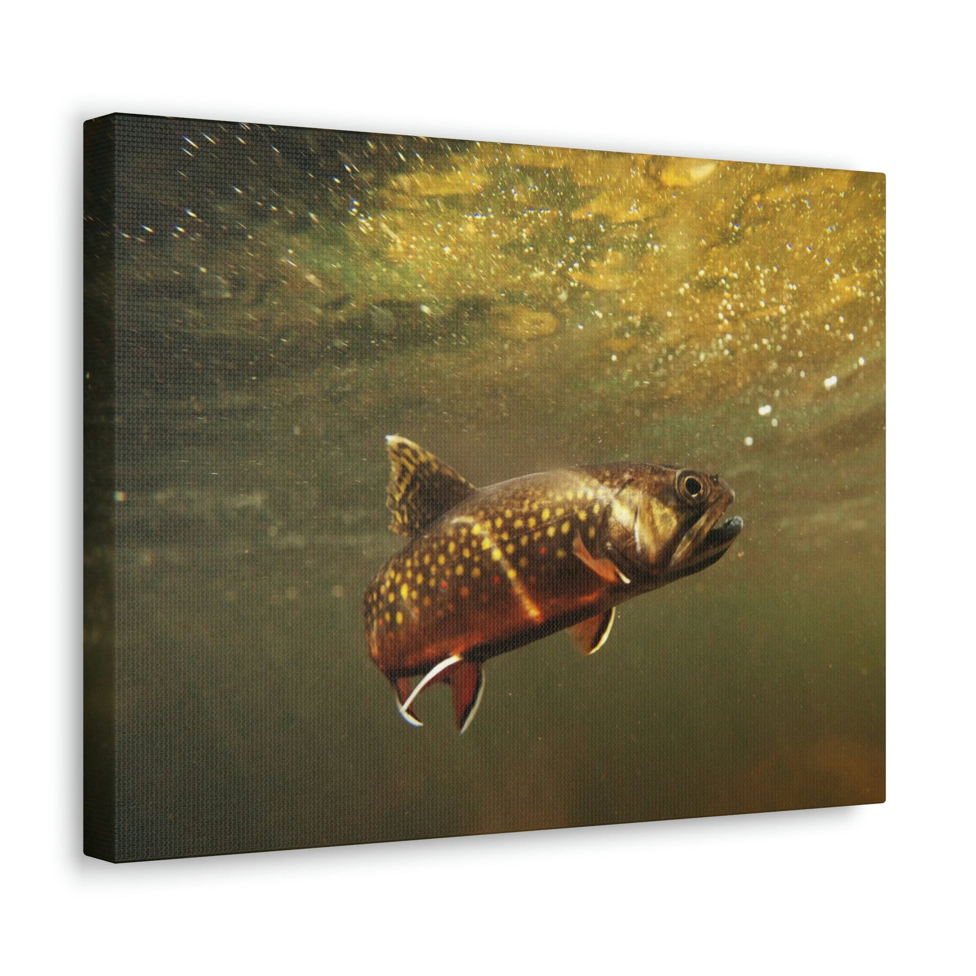 Scripture Walls Trout Hunting Trout on Hunt Print Animal Wall Art Wildlife Canvas Prints Wall Art Ready to Hang Unframed-Express Your Love Gifts