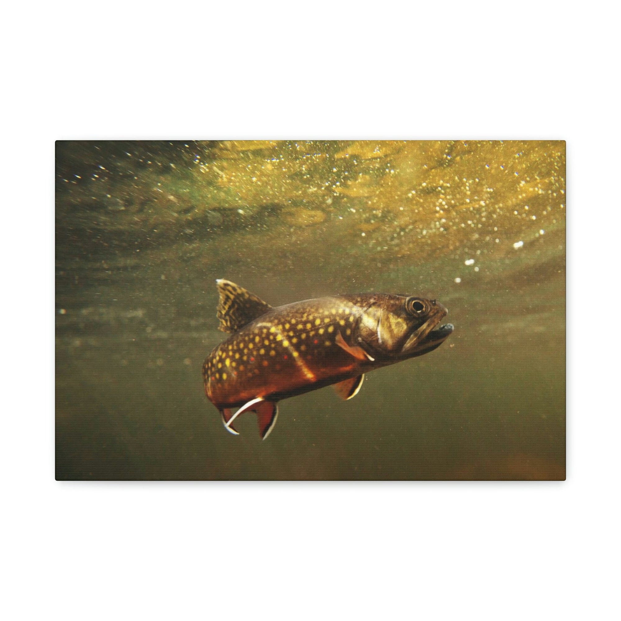 Scripture Walls Trout Hunting Trout on Hunt Print Animal Wall Art Wildlife Canvas Prints Wall Art Ready to Hang Unframed-Express Your Love Gifts