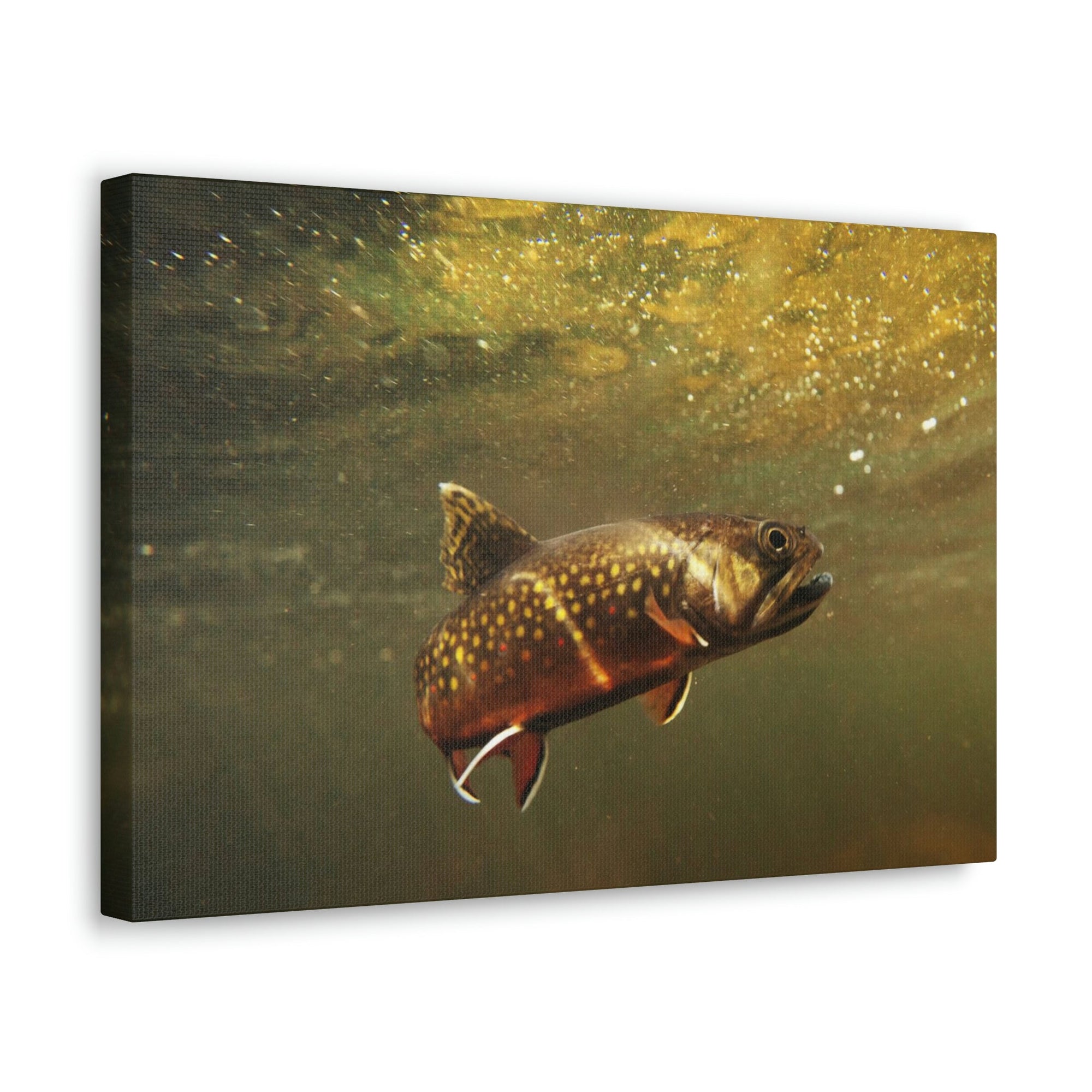 Scripture Walls Trout Hunting Trout on Hunt Print Animal Wall Art Wildlife Canvas Prints Wall Art Ready to Hang Unframed-Express Your Love Gifts