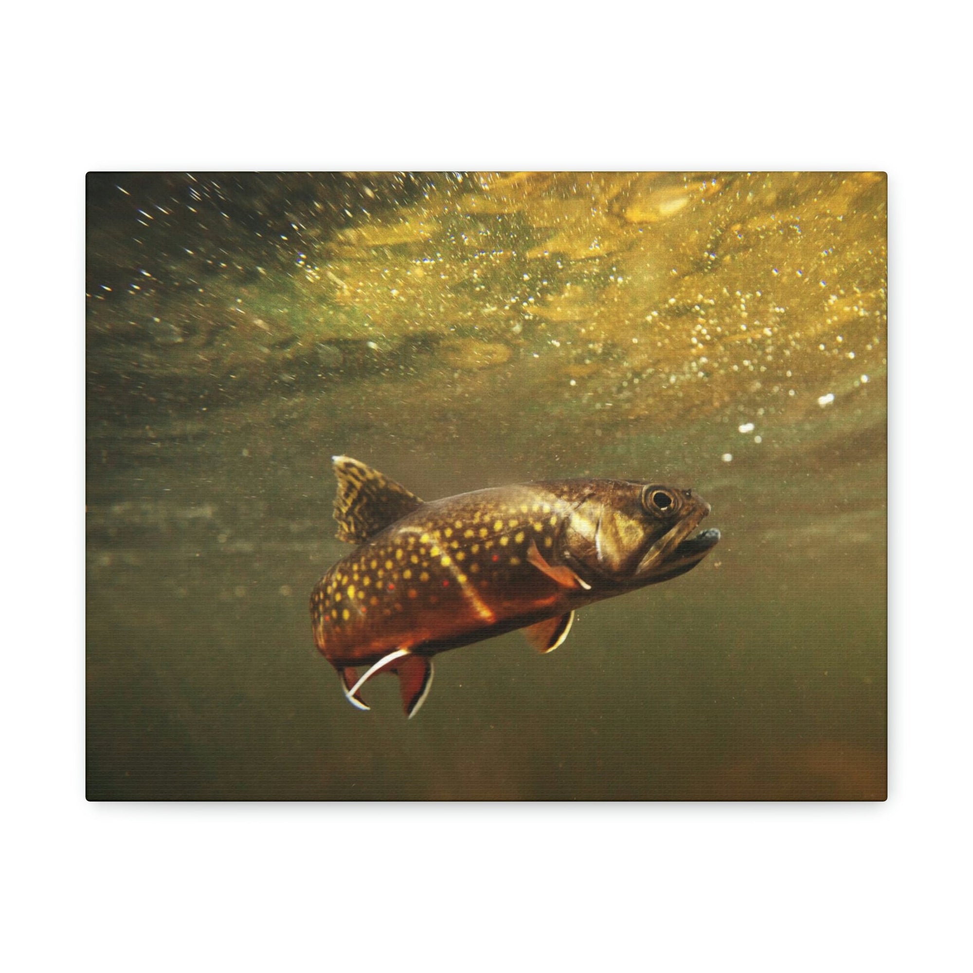 Scripture Walls Trout Hunting Trout on Hunt Print Animal Wall Art Wildlife Canvas Prints Wall Art Ready to Hang Unframed-Express Your Love Gifts