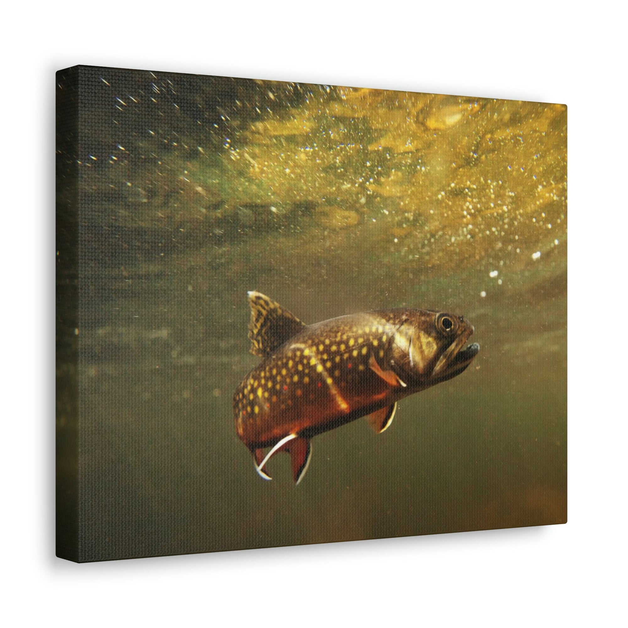 Scripture Walls Trout Hunting Trout on Hunt Print Animal Wall Art Wildlife Canvas Prints Wall Art Ready to Hang Unframed-Express Your Love Gifts