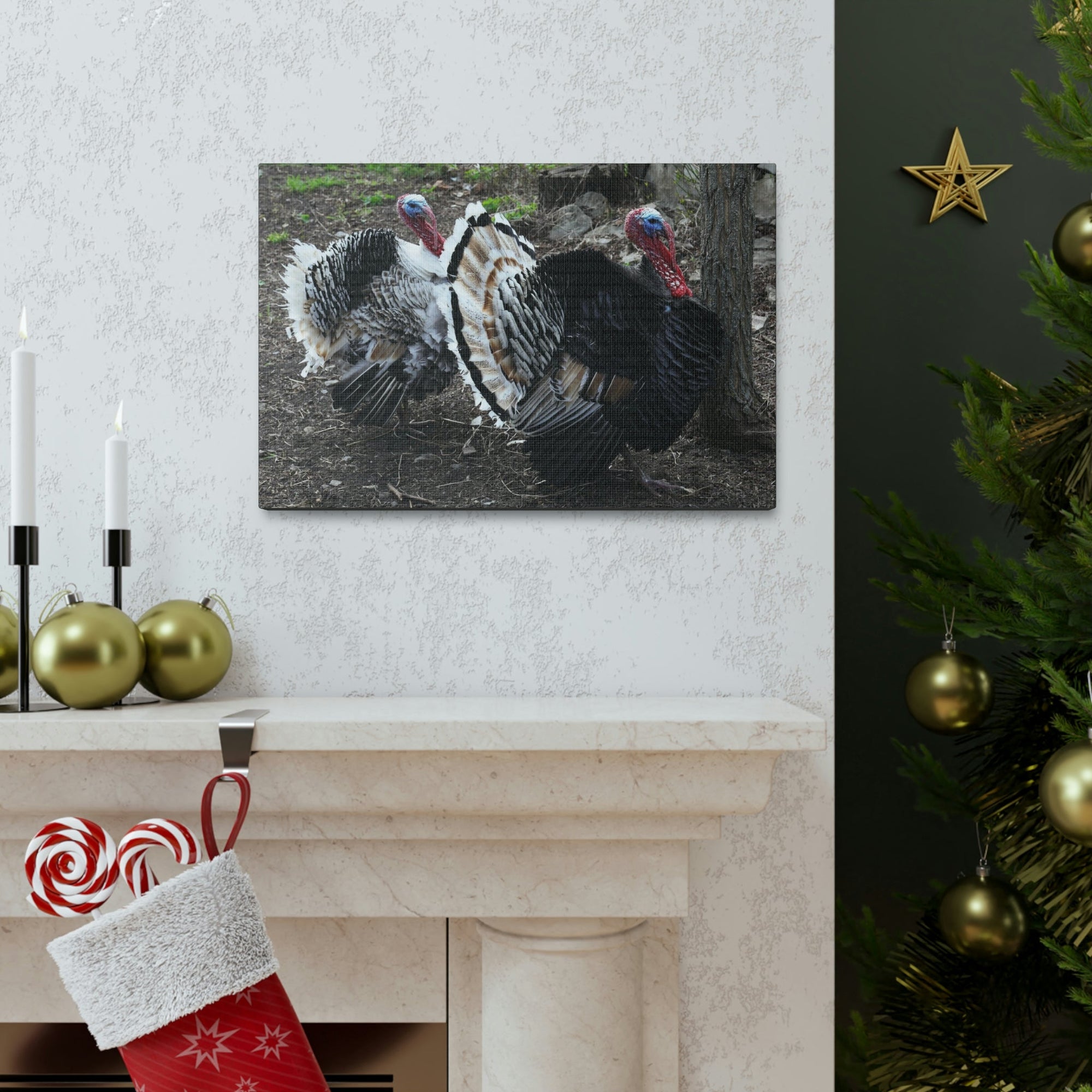 Scripture Walls Turkey Couple Turkey Couple Print Animal Wall Art Wildlife Canvas Prints Wall Art Ready to Hang Unframed-Express Your Love Gifts