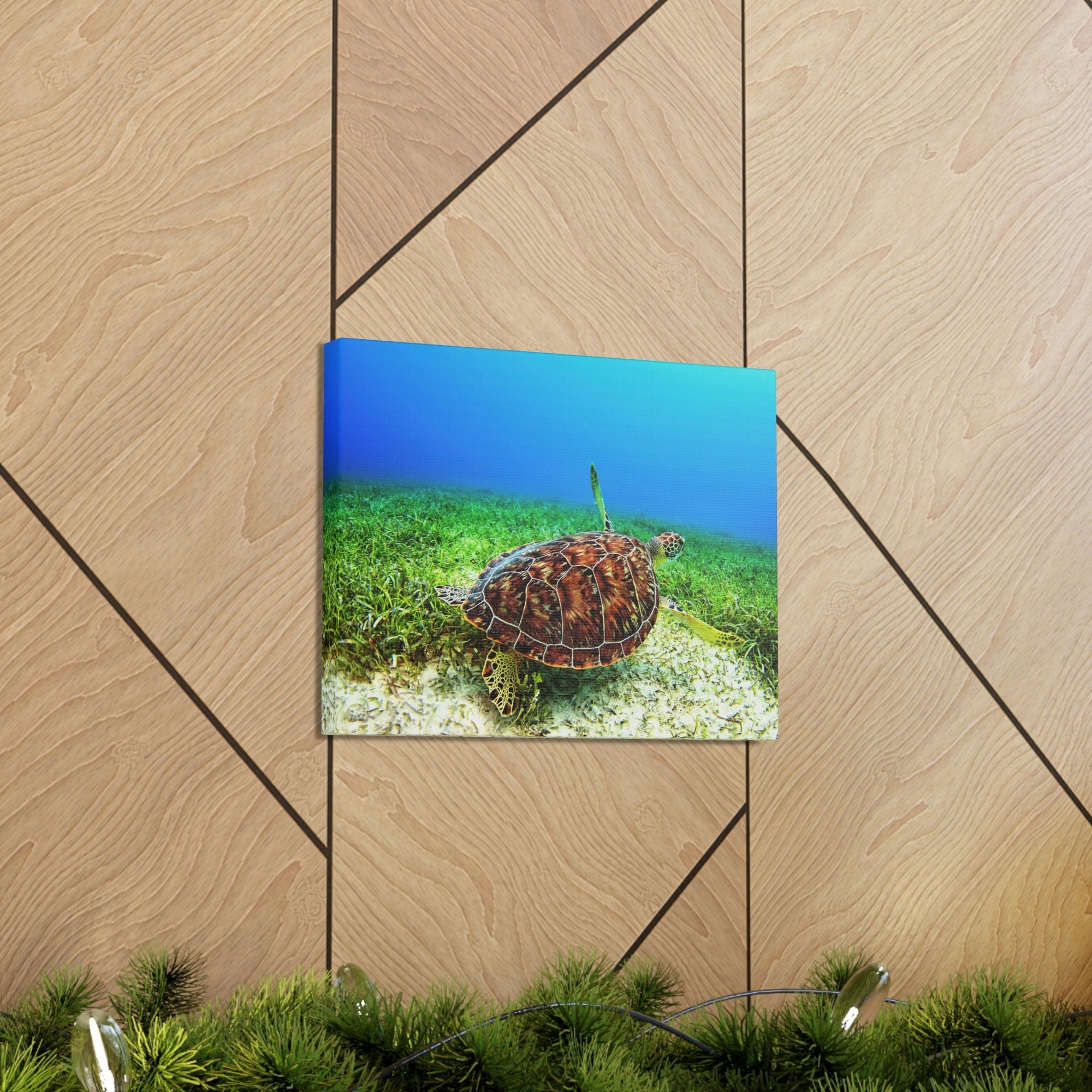 Scripture Walls Turtle Hunting Turtle on Hunt Print Animal Wall Art Wildlife Canvas Prints Wall Art Ready to Hang Unframed-Express Your Love Gifts