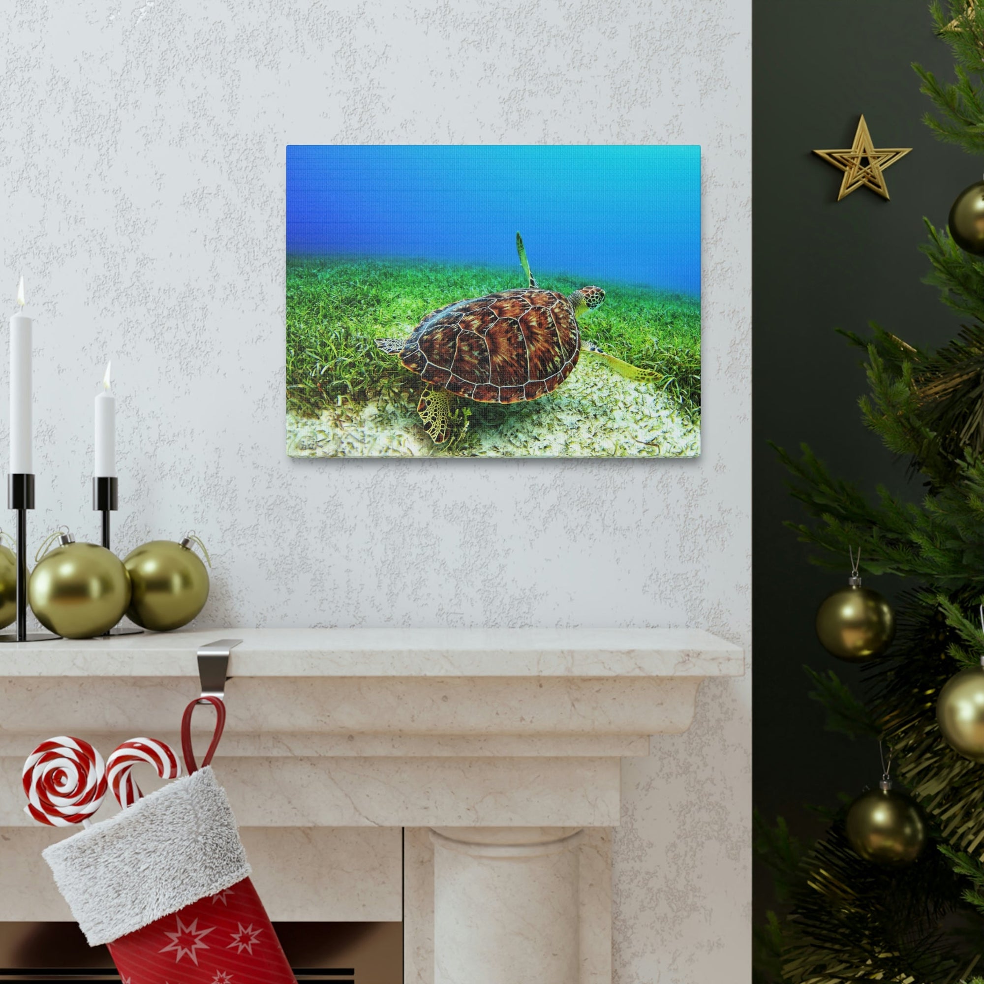 Scripture Walls Turtle Hunting Turtle on Hunt Print Animal Wall Art Wildlife Canvas Prints Wall Art Ready to Hang Unframed-Express Your Love Gifts