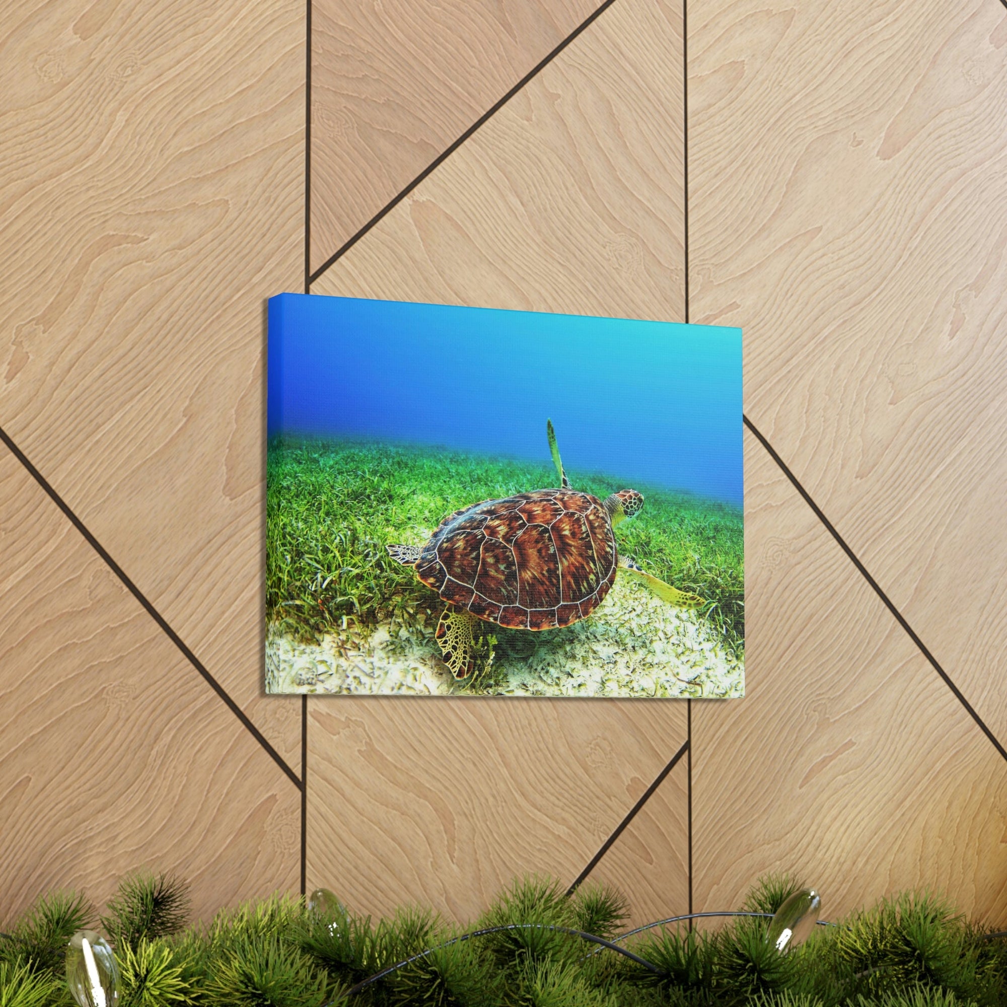 Scripture Walls Turtle Hunting Turtle on Hunt Print Animal Wall Art Wildlife Canvas Prints Wall Art Ready to Hang Unframed-Express Your Love Gifts