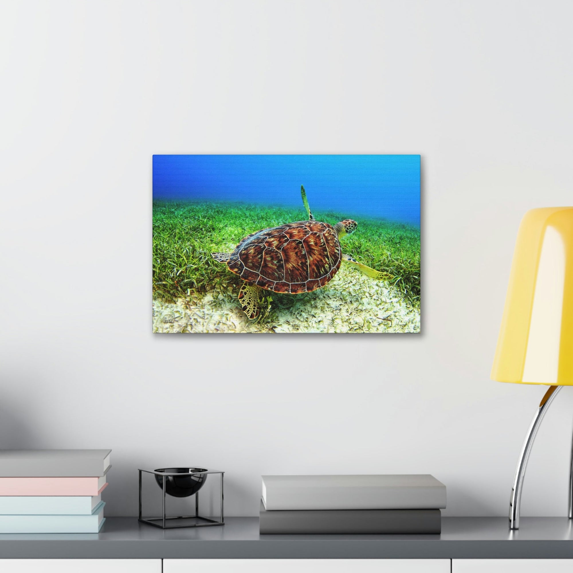 Scripture Walls Turtle Hunting Turtle on Hunt Print Animal Wall Art Wildlife Canvas Prints Wall Art Ready to Hang Unframed-Express Your Love Gifts