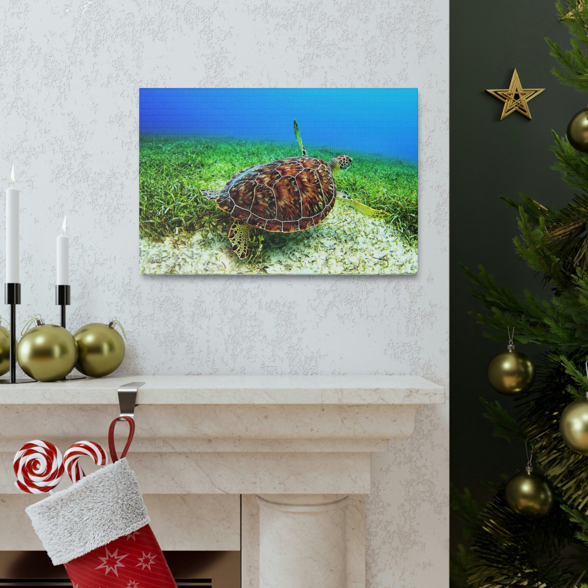 Scripture Walls Turtle Hunting Turtle on Hunt Print Animal Wall Art Wildlife Canvas Prints Wall Art Ready to Hang Unframed-Express Your Love Gifts