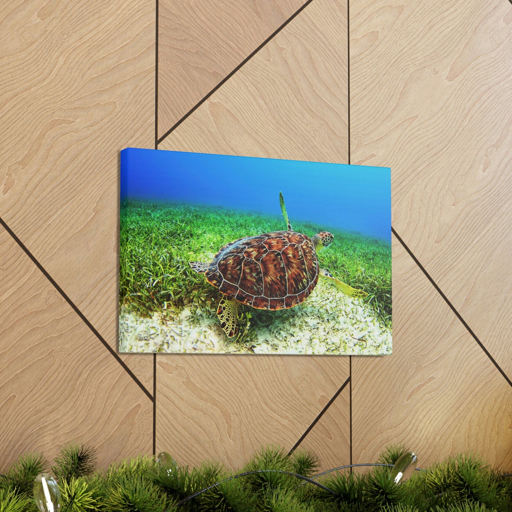 Scripture Walls Turtle Hunting Turtle on Hunt Print Animal Wall Art Wildlife Canvas Prints Wall Art Ready to Hang Unframed-Express Your Love Gifts