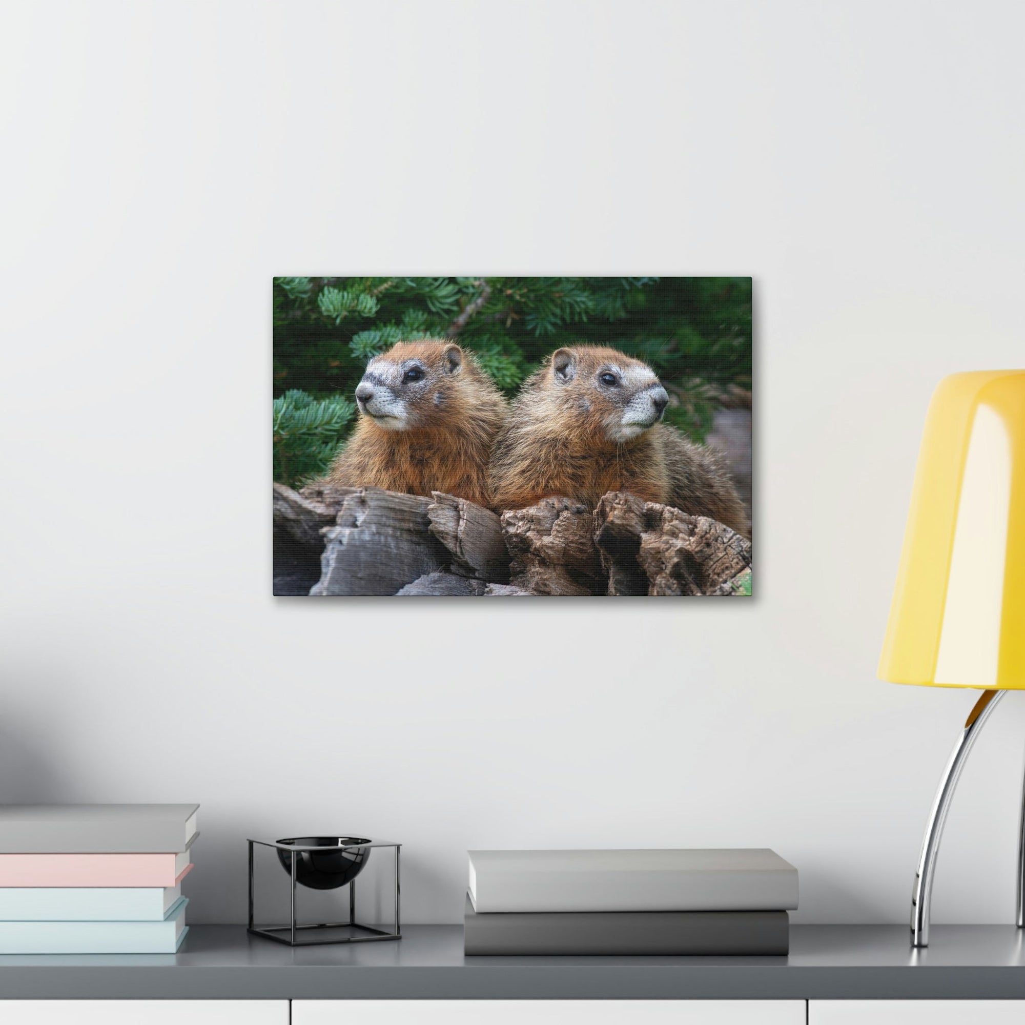 Scripture Walls Two Young Yellow Bellied Marmot on a Dead Tree Print Animal Wall Art Wildlife Canvas Prints Wall Art Ready to Hang Unframed-Express Your Love Gifts