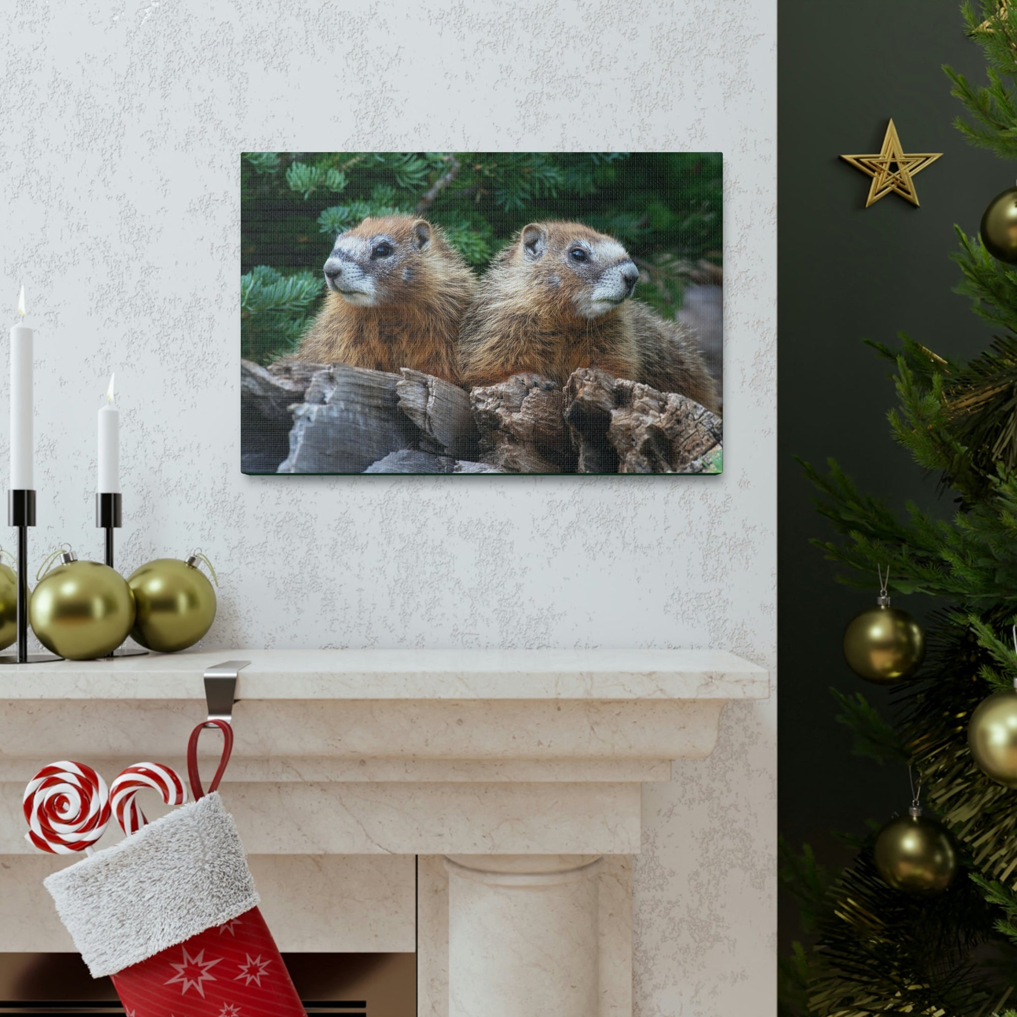 Scripture Walls Two Young Yellow Bellied Marmot on a Dead Tree Print Animal Wall Art Wildlife Canvas Prints Wall Art Ready to Hang Unframed-Express Your Love Gifts