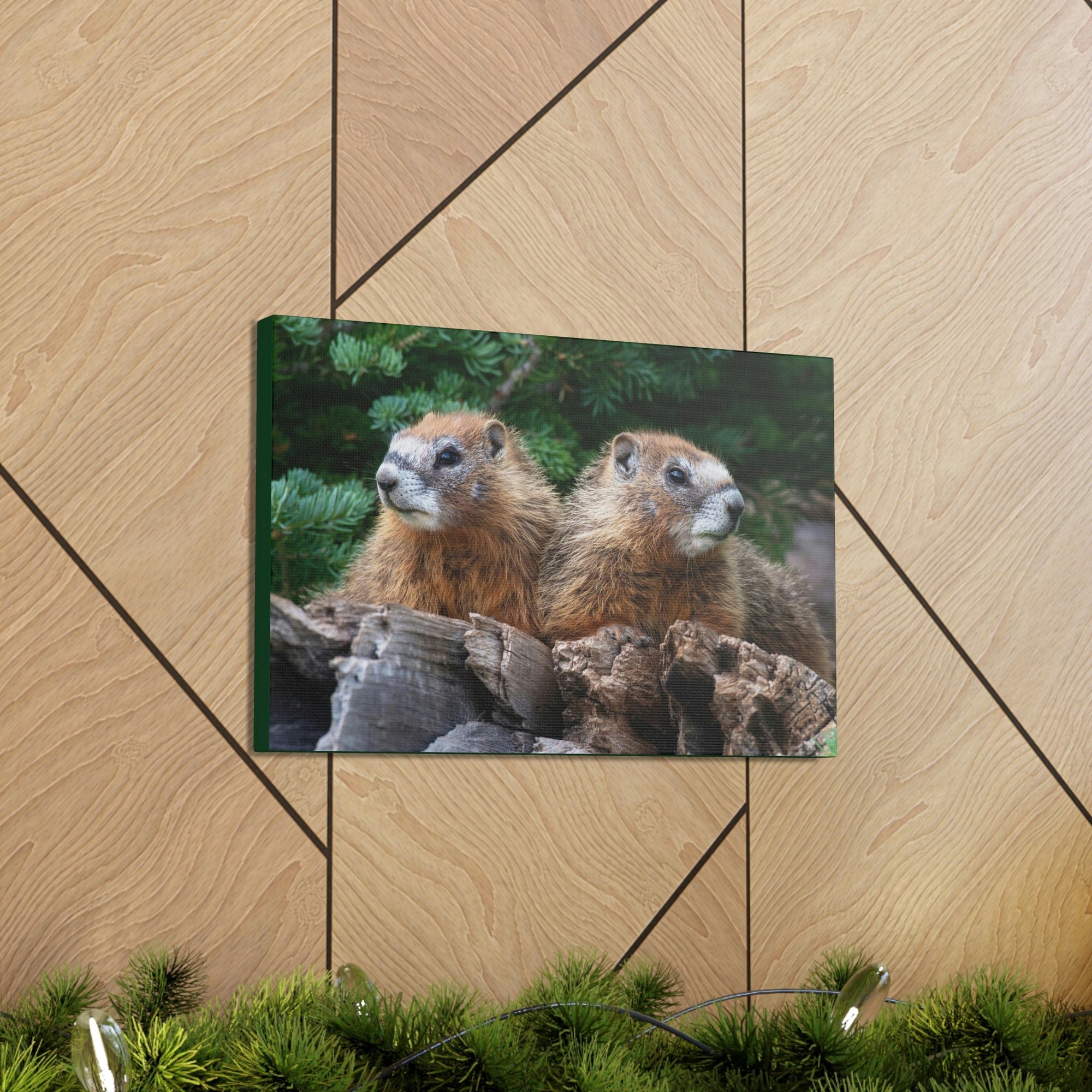 Scripture Walls Two Young Yellow Bellied Marmot on a Dead Tree Print Animal Wall Art Wildlife Canvas Prints Wall Art Ready to Hang Unframed-Express Your Love Gifts