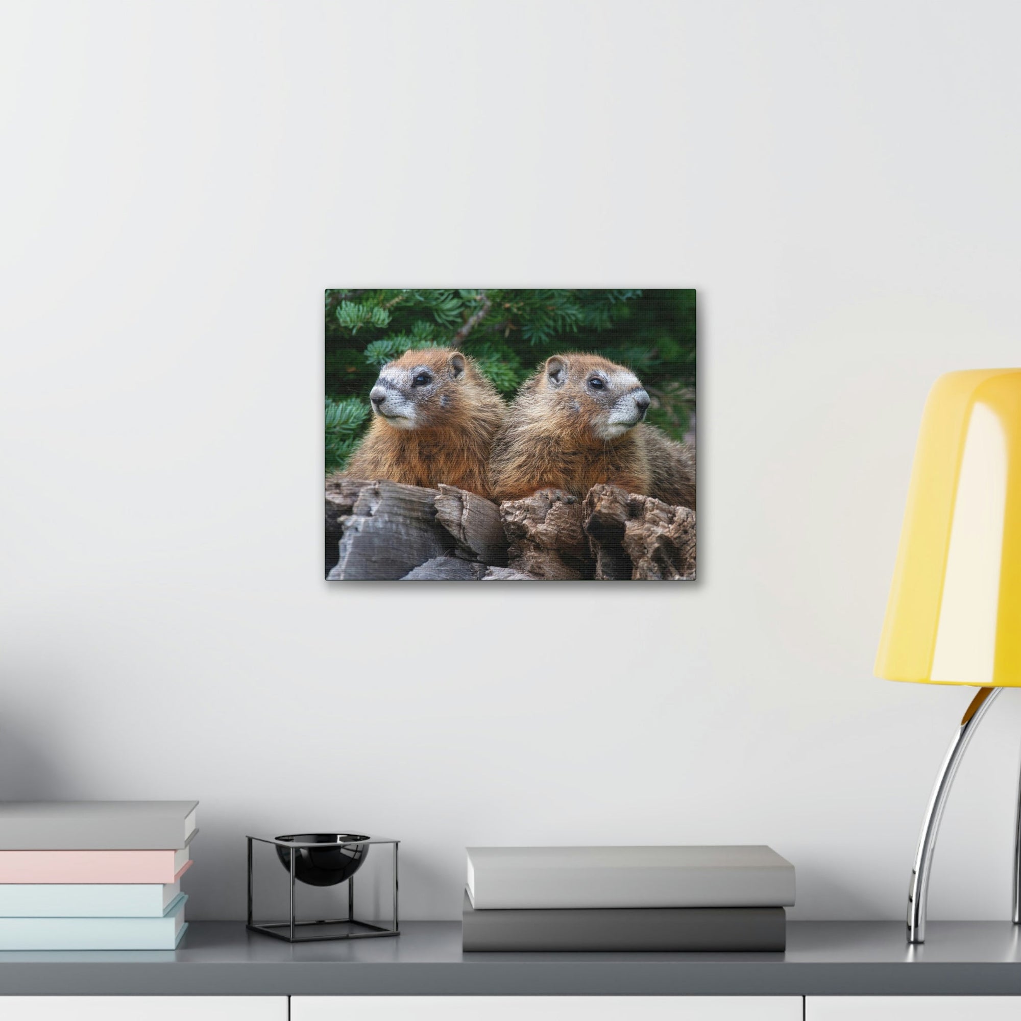 Scripture Walls Two Young Yellow Bellied Marmot on a Dead Tree Print Animal Wall Art Wildlife Canvas Prints Wall Art Ready to Hang Unframed-Express Your Love Gifts