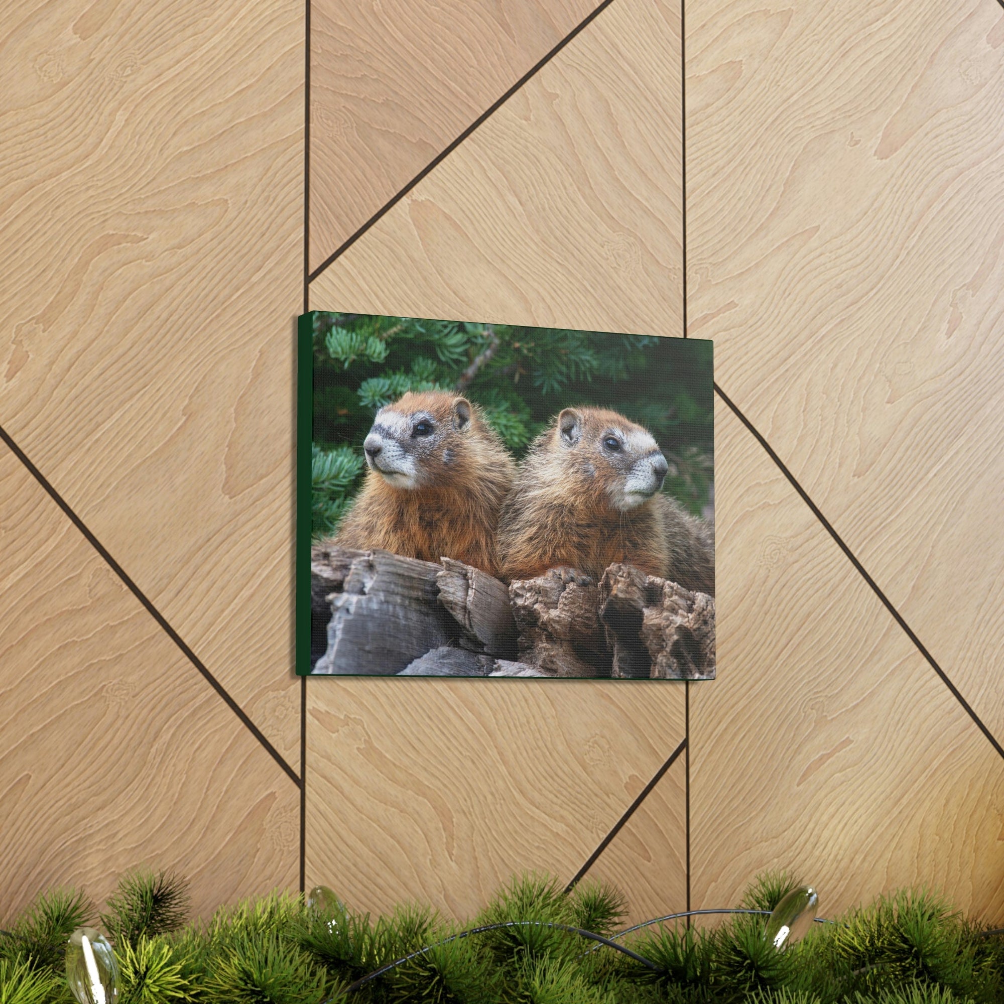 Scripture Walls Two Young Yellow Bellied Marmot on a Dead Tree Print Animal Wall Art Wildlife Canvas Prints Wall Art Ready to Hang Unframed-Express Your Love Gifts