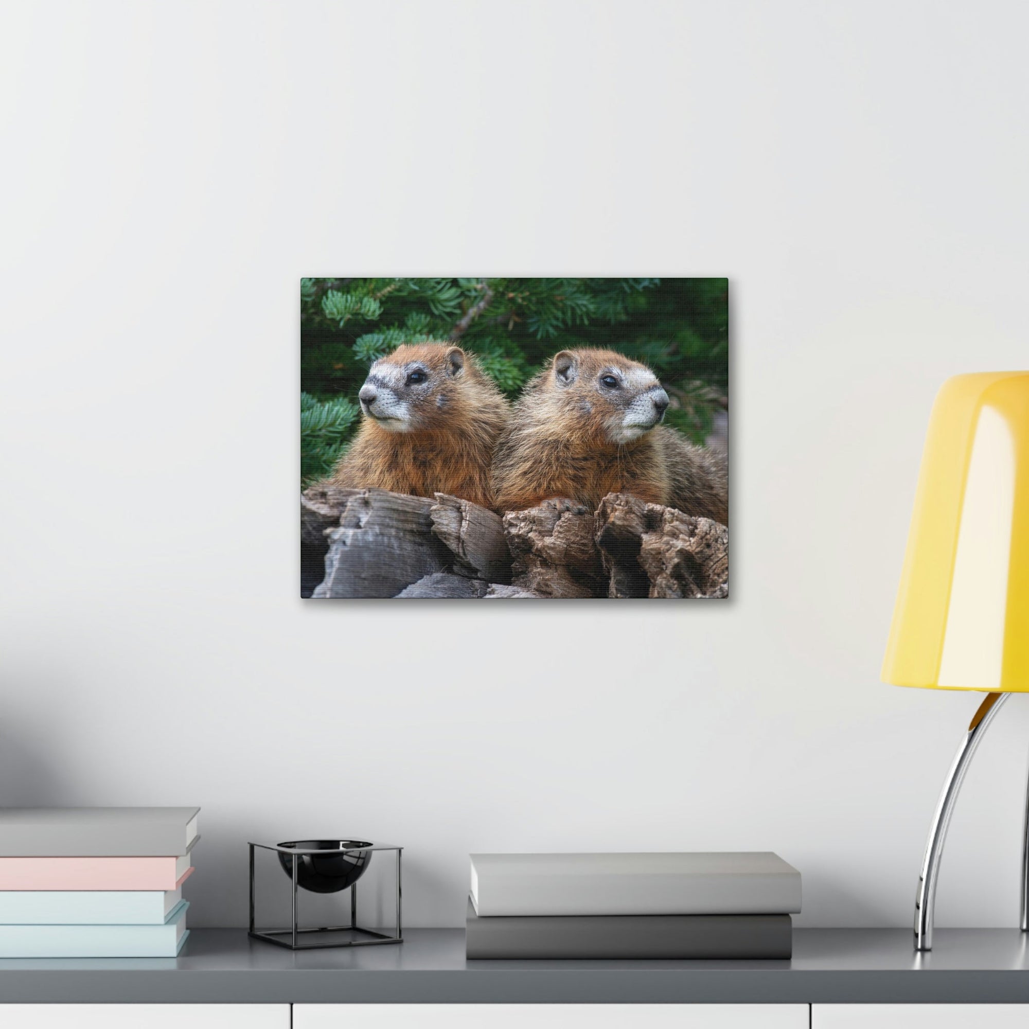 Scripture Walls Two Young Yellow Bellied Marmot on a Dead Tree Print Animal Wall Art Wildlife Canvas Prints Wall Art Ready to Hang Unframed-Express Your Love Gifts