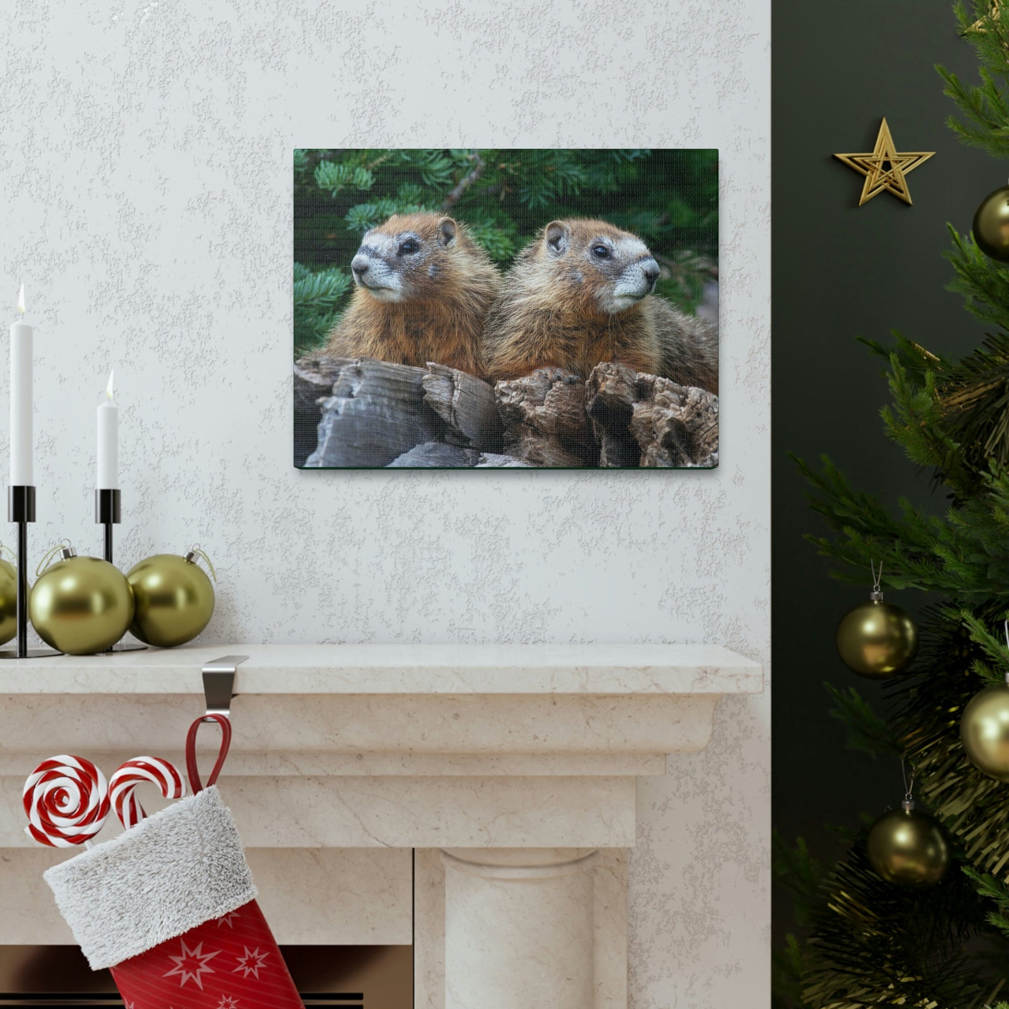 Scripture Walls Two Young Yellow Bellied Marmot on a Dead Tree Print Animal Wall Art Wildlife Canvas Prints Wall Art Ready to Hang Unframed-Express Your Love Gifts