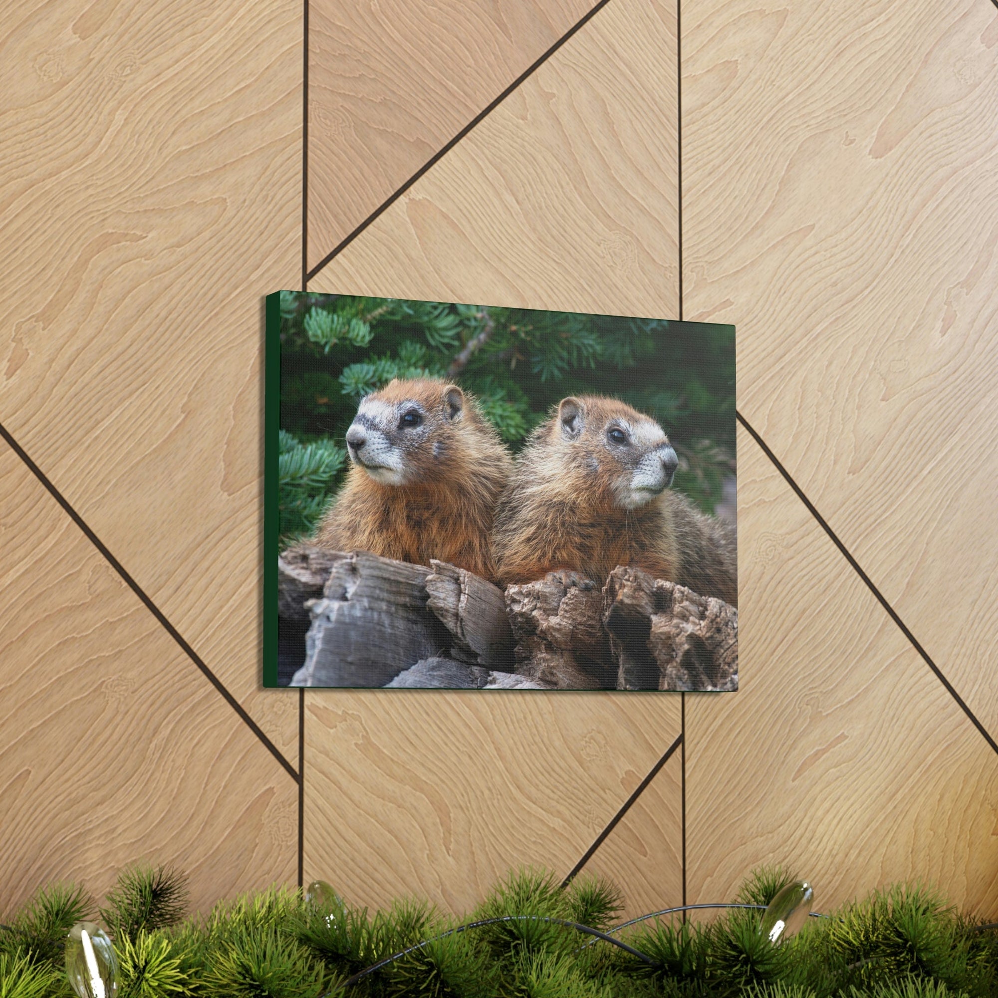 Scripture Walls Two Young Yellow Bellied Marmot on a Dead Tree Print Animal Wall Art Wildlife Canvas Prints Wall Art Ready to Hang Unframed-Express Your Love Gifts