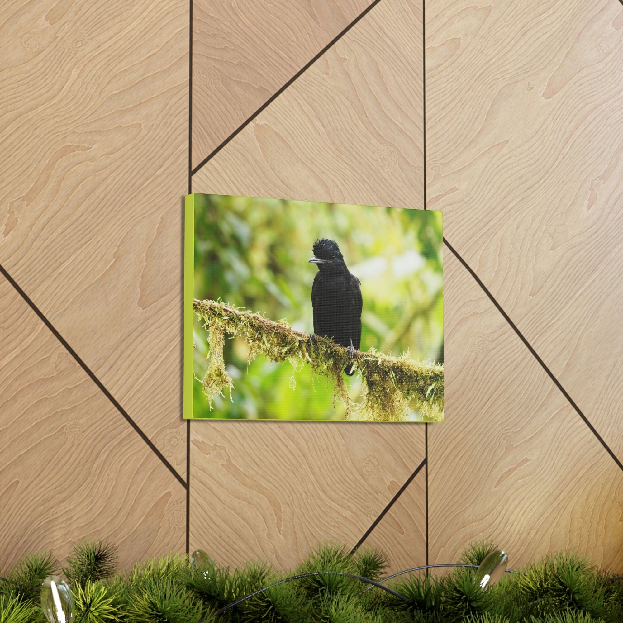 Scripture Walls Umbrella Bird Hunting Umbrella Bird on Hunt Print Animal Wall Art Wildlife Canvas Prints Wall Art Ready to Hang Unframed-Express Your Love Gifts