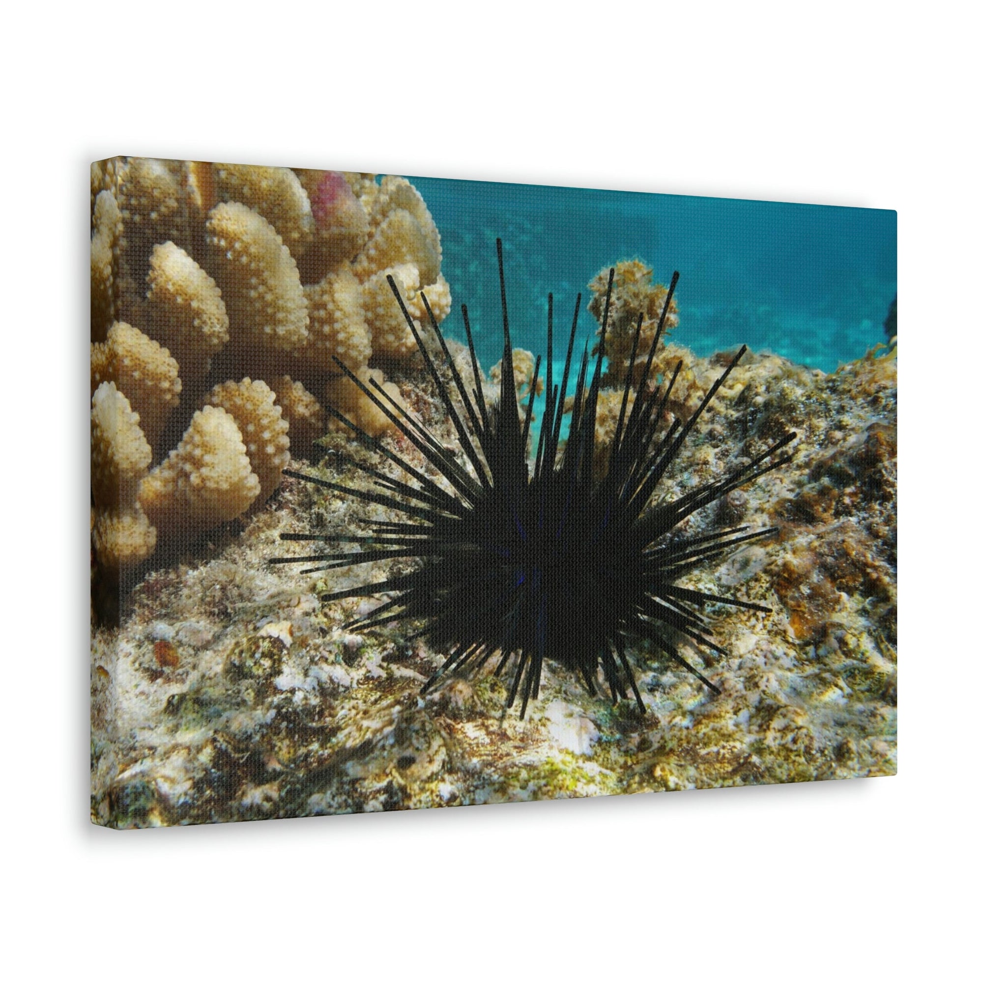 Scripture Walls Urchin Hunting Urchin on Hunt Print Animal Wall Art Wildlife Canvas Prints Wall Art Ready to Hang Unframed-Express Your Love Gifts