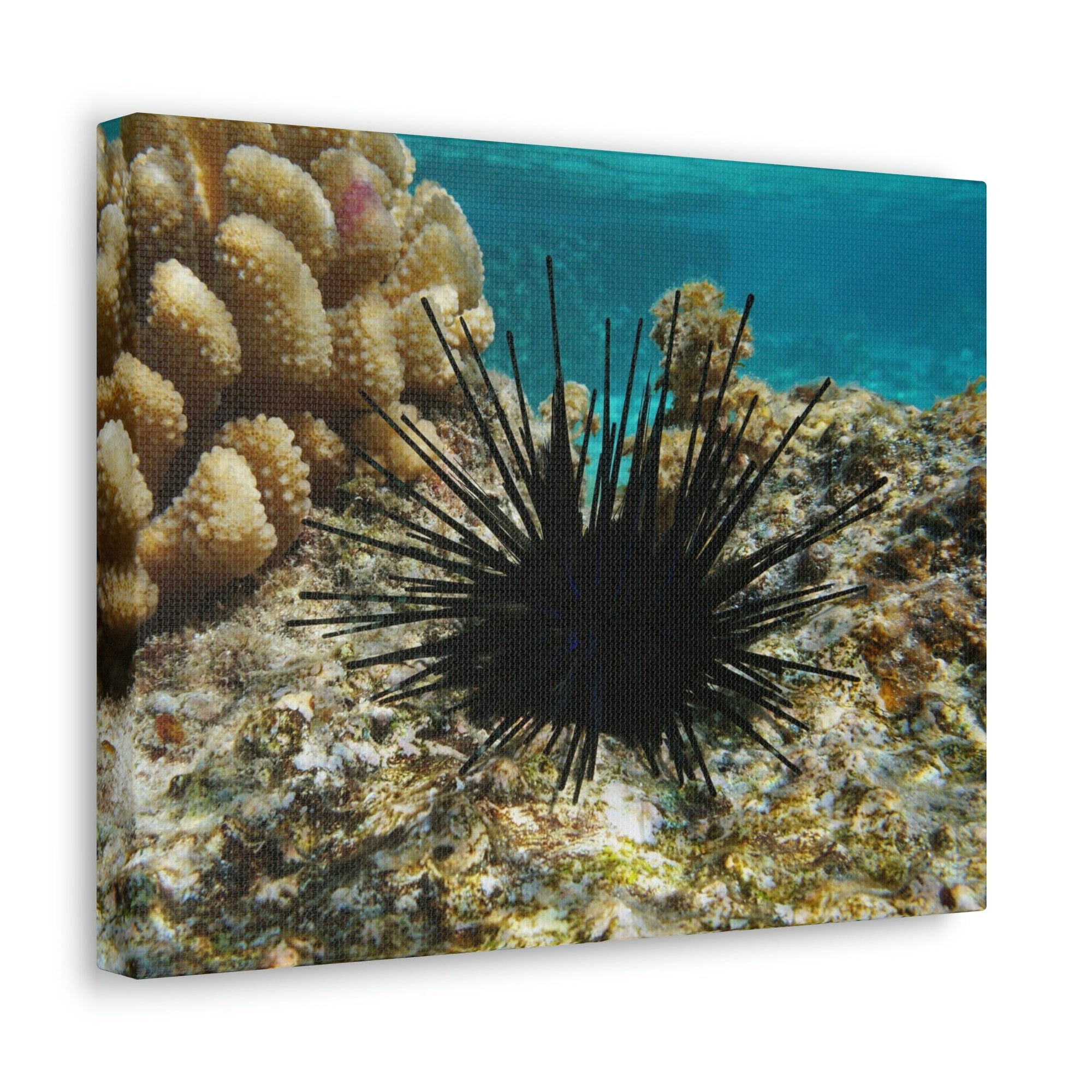 Scripture Walls Urchin Hunting Urchin on Hunt Print Animal Wall Art Wildlife Canvas Prints Wall Art Ready to Hang Unframed-Express Your Love Gifts