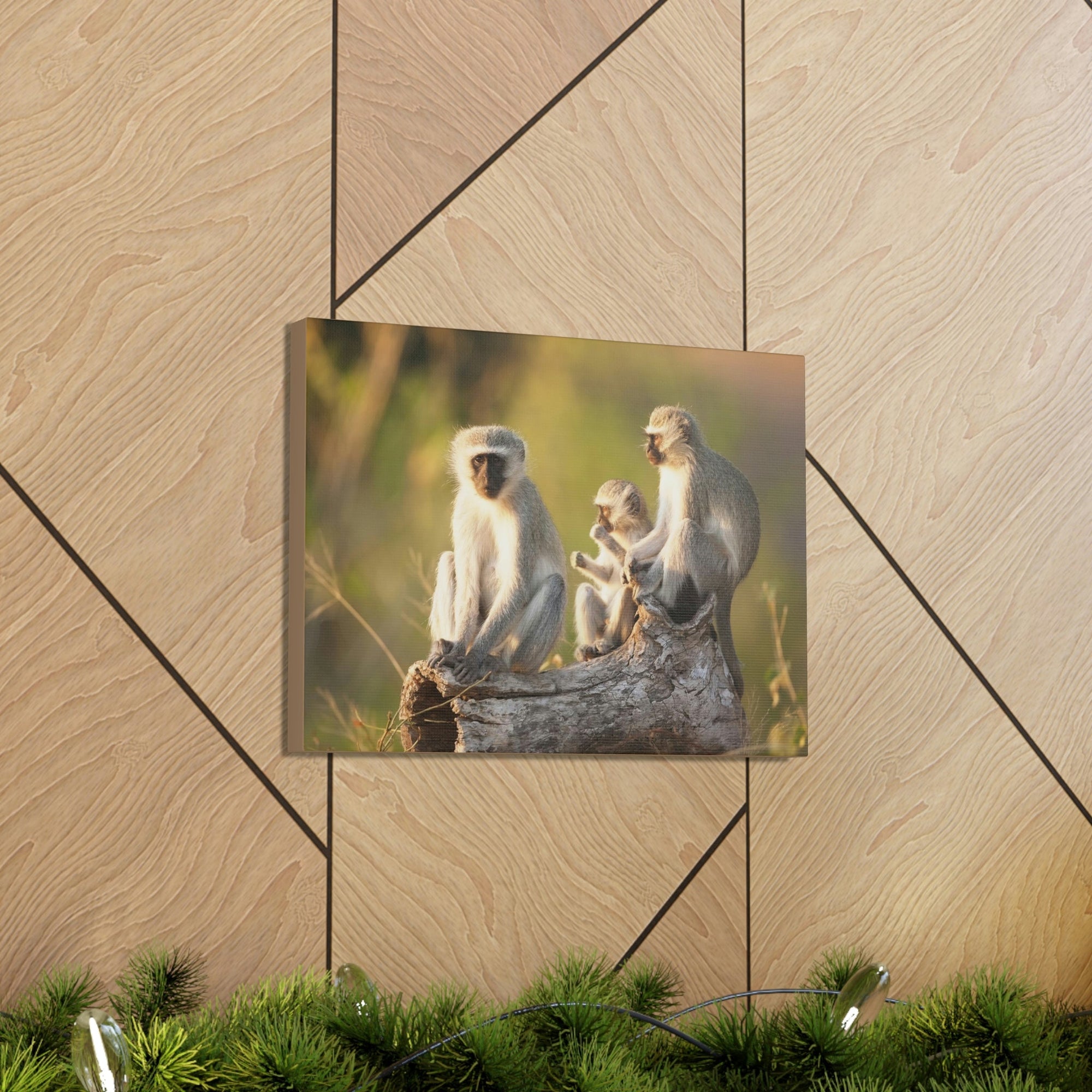 Scripture Walls Vervet Group Vervet Troop Print Animal Wall Art Wildlife Canvas Prints Wall Art Ready to Hang Unframed-Express Your Love Gifts