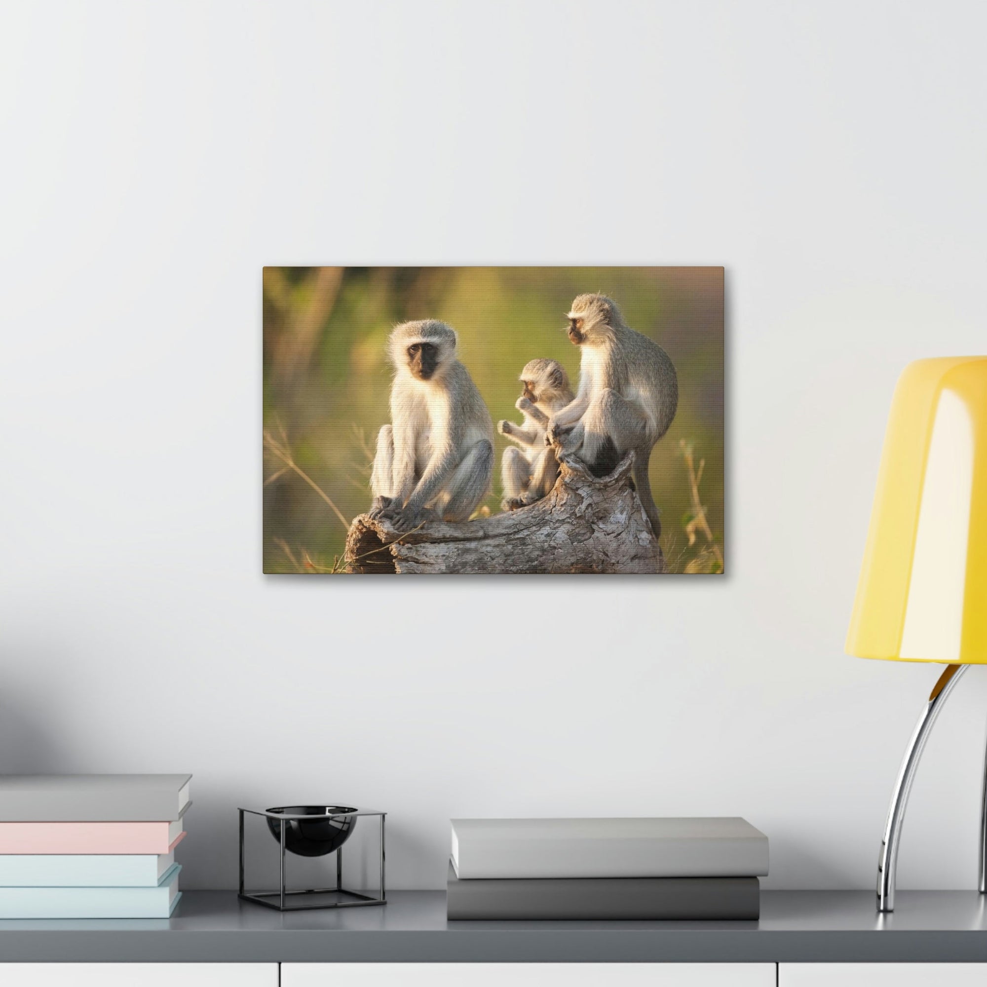 Scripture Walls Vervet Group Vervet Troop Print Animal Wall Art Wildlife Canvas Prints Wall Art Ready to Hang Unframed-Express Your Love Gifts