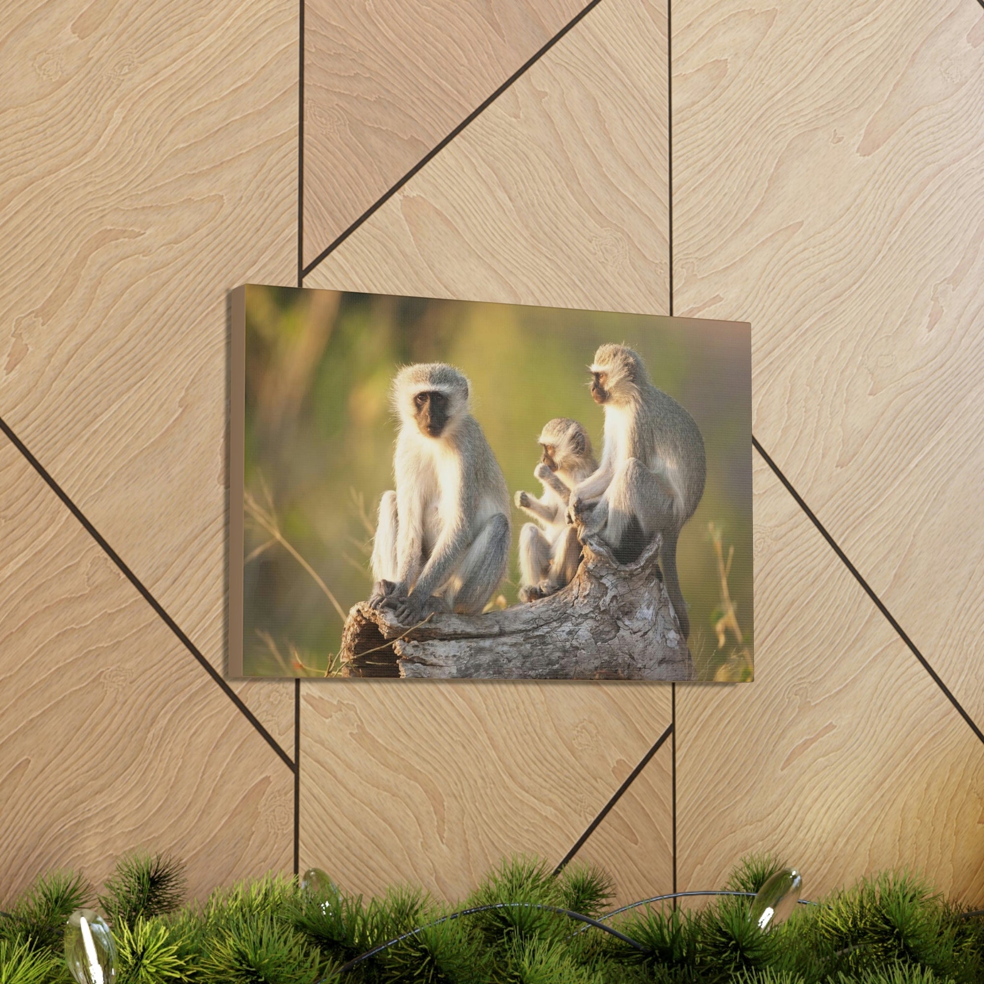 Scripture Walls Vervet Group Vervet Troop Print Animal Wall Art Wildlife Canvas Prints Wall Art Ready to Hang Unframed-Express Your Love Gifts