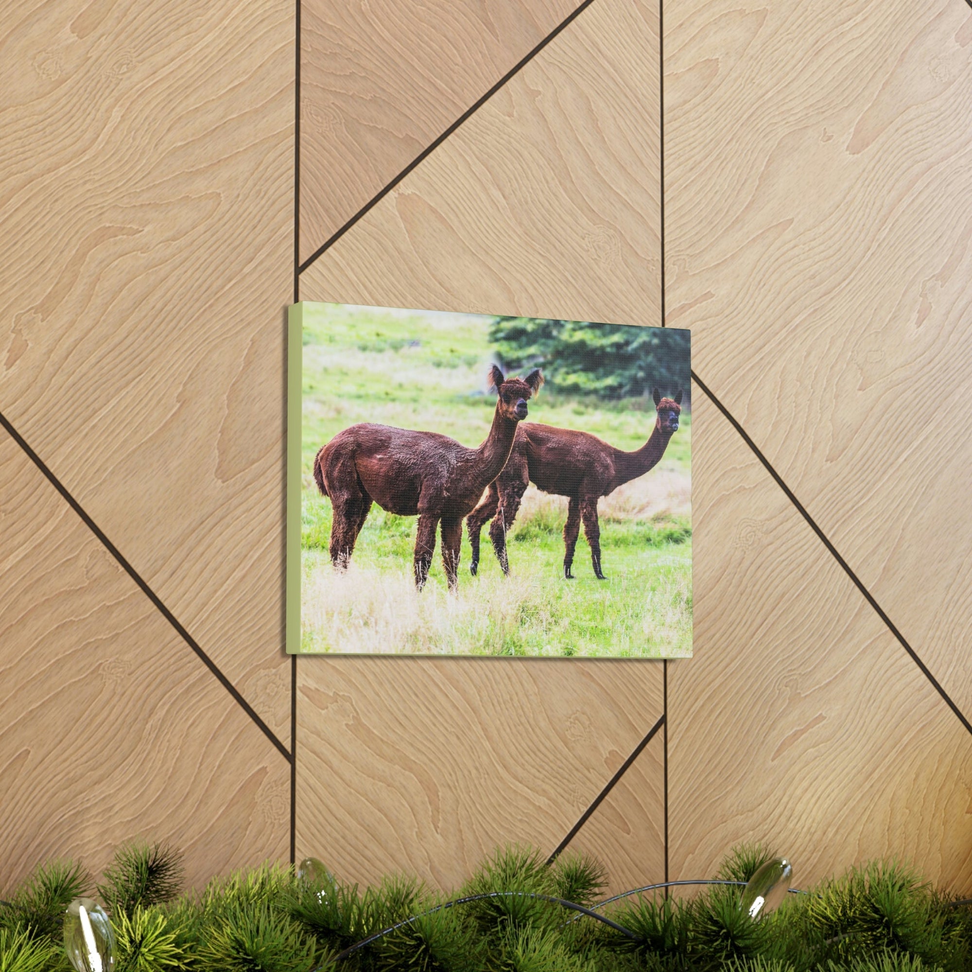 Scripture Walls Vicuna Couple Vicuna Couple Print Animal Wall Art Wildlife Canvas Prints Wall Art Ready to Hang Unframed-Express Your Love Gifts