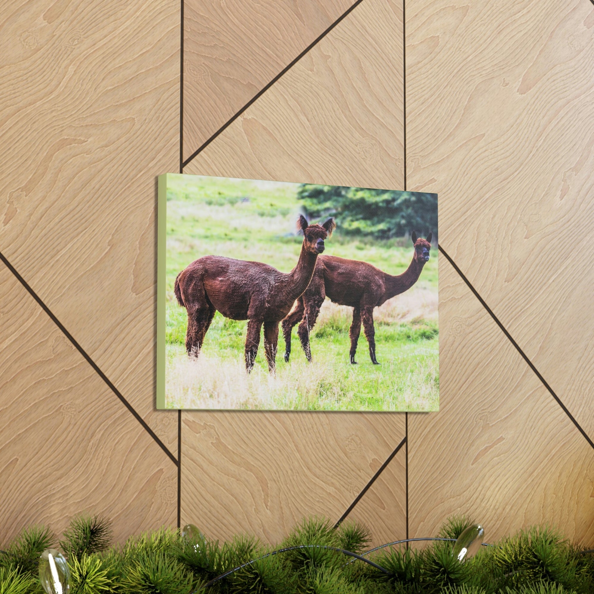 Scripture Walls Vicuna Couple Vicuna Couple Print Animal Wall Art Wildlife Canvas Prints Wall Art Ready to Hang Unframed-Express Your Love Gifts