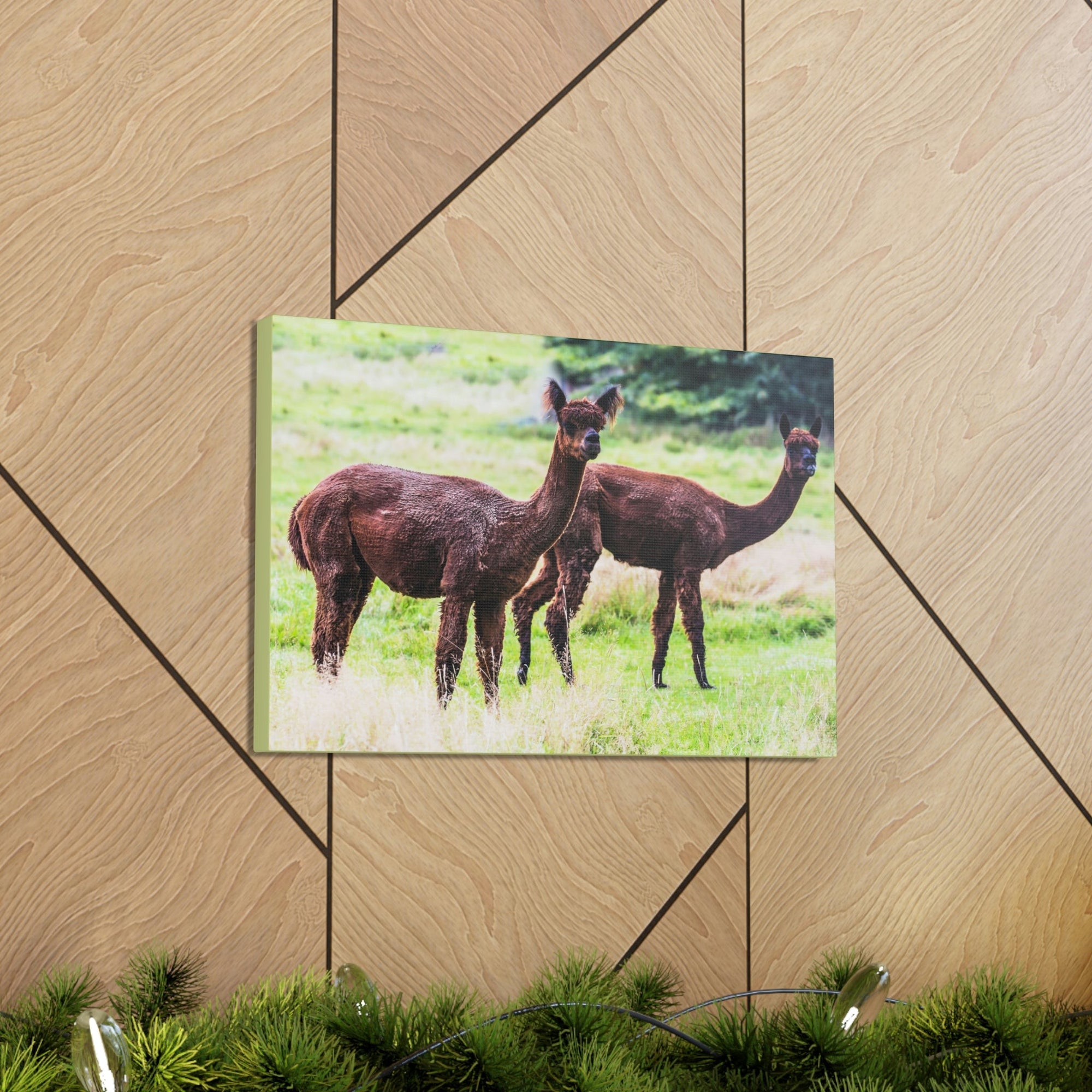 Scripture Walls Vicuna Couple Vicuna Couple Print Animal Wall Art Wildlife Canvas Prints Wall Art Ready to Hang Unframed-Express Your Love Gifts