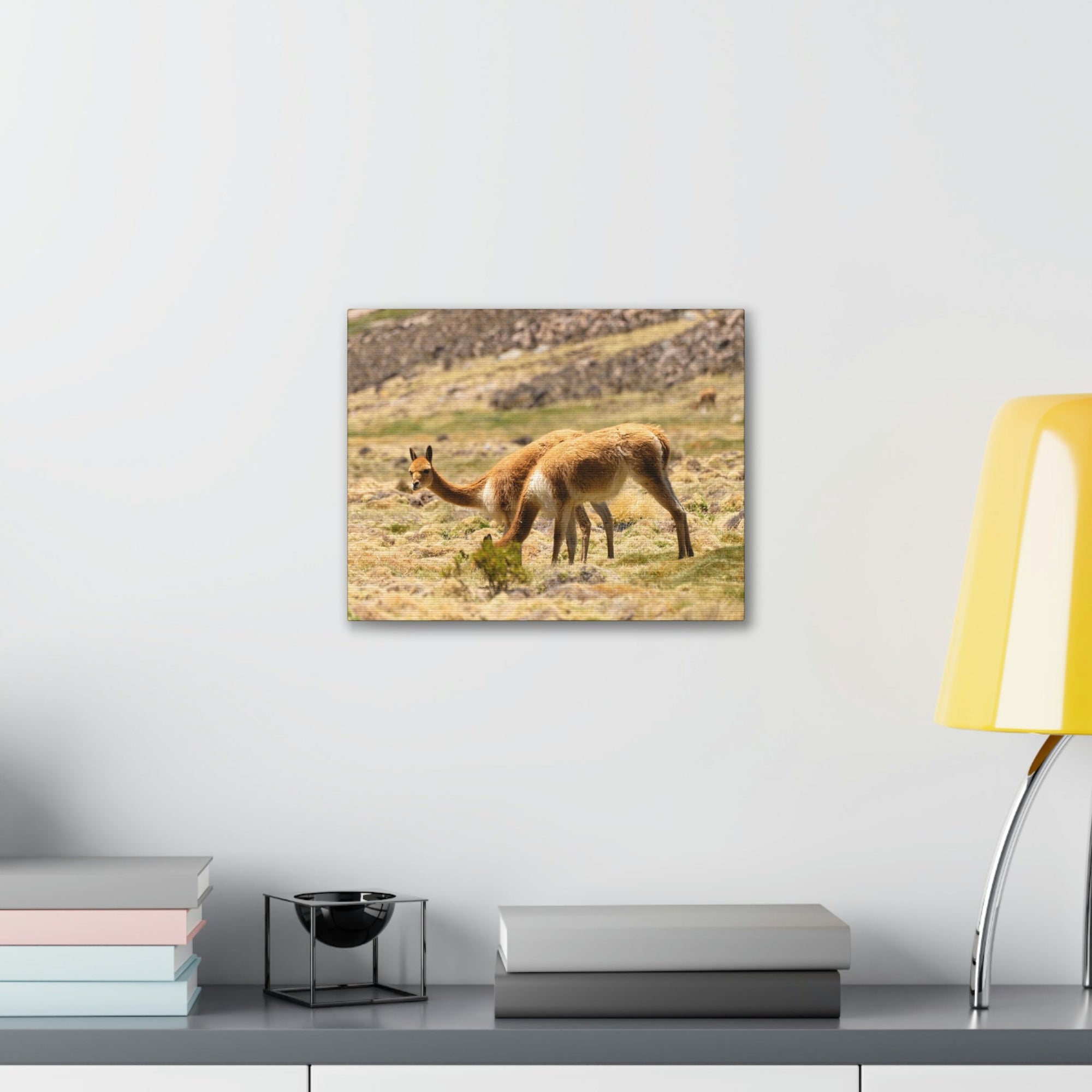 Scripture Walls Vicuna Hunting Vicuna on Hunt Print Animal Wall Art Wildlife Canvas Prints Wall Art Ready to Hang Unframed-Express Your Love Gifts