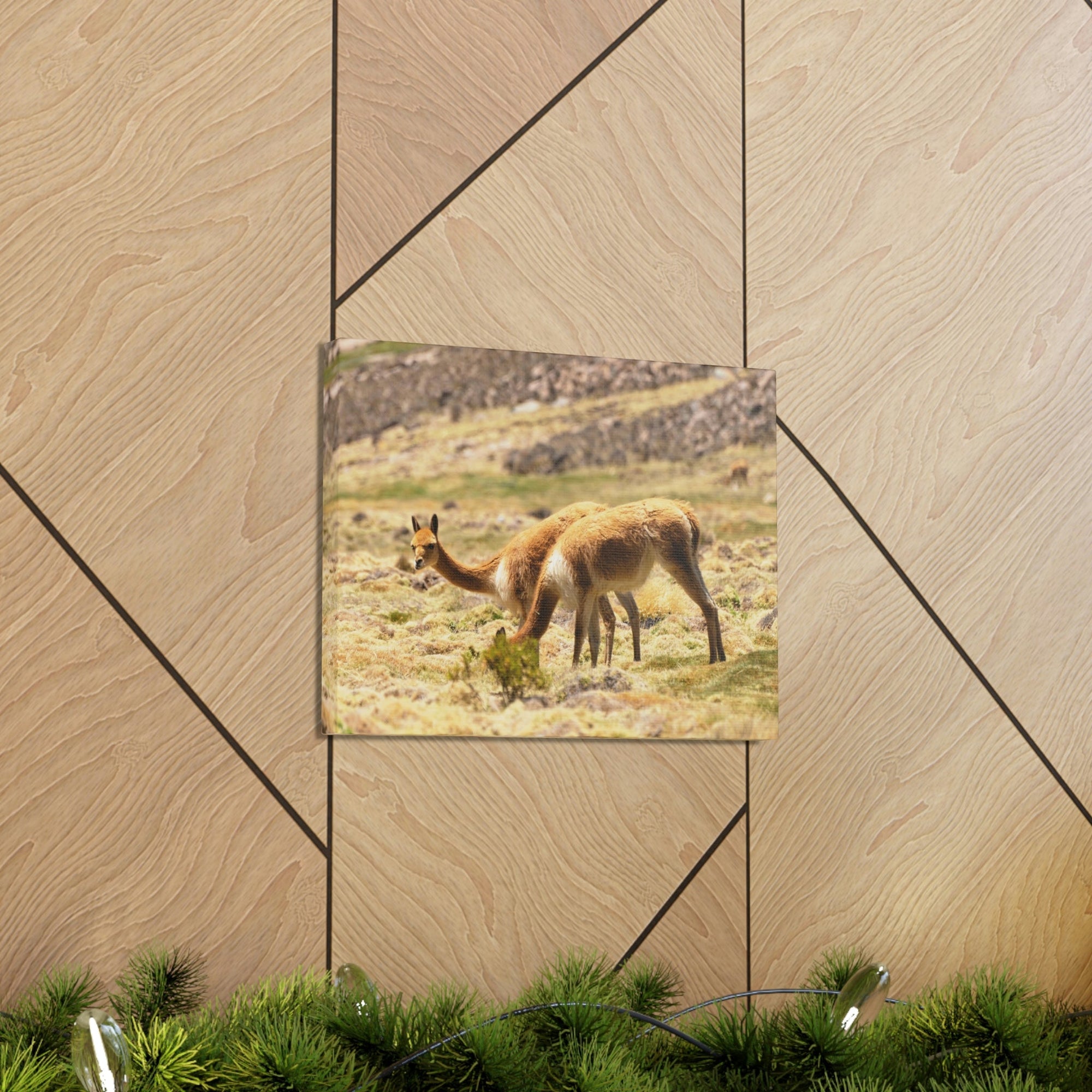 Scripture Walls Vicuna Hunting Vicuna on Hunt Print Animal Wall Art Wildlife Canvas Prints Wall Art Ready to Hang Unframed-Express Your Love Gifts