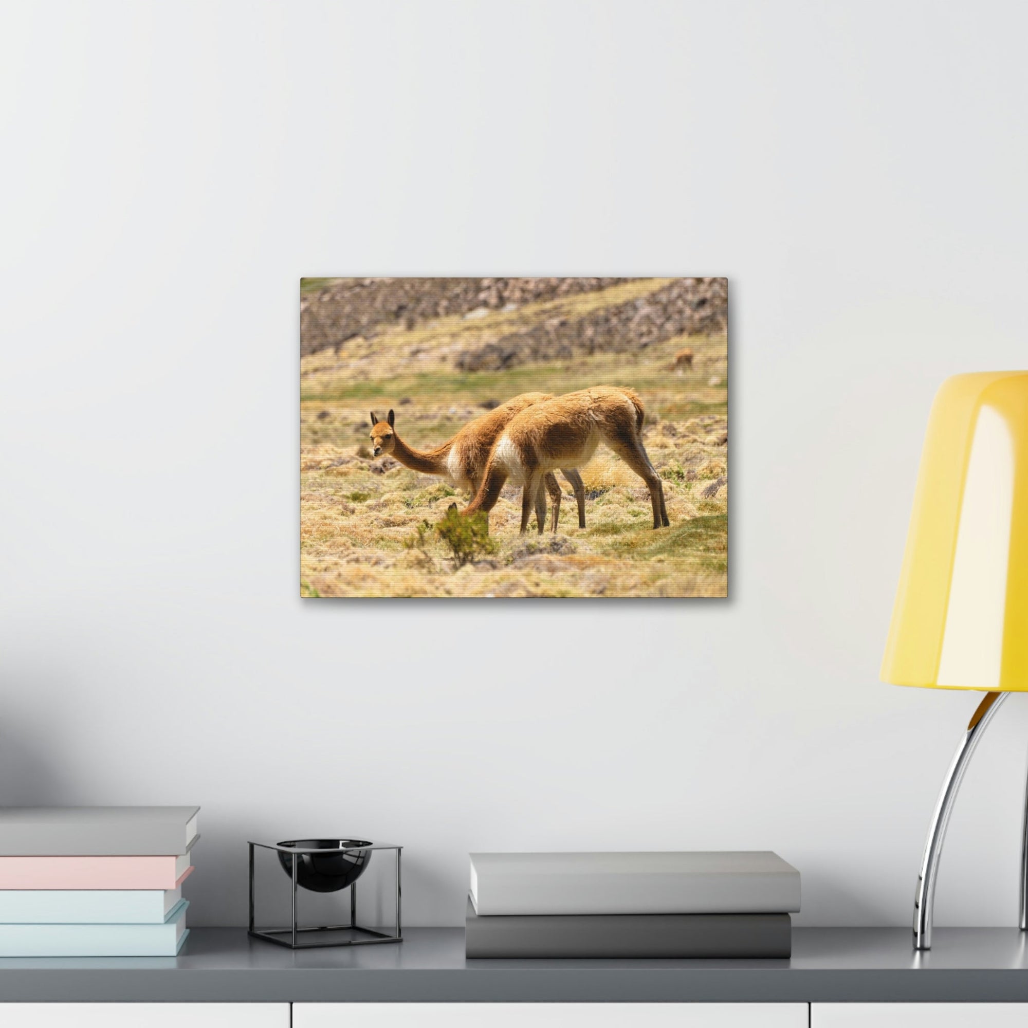 Scripture Walls Vicuna Hunting Vicuna on Hunt Print Animal Wall Art Wildlife Canvas Prints Wall Art Ready to Hang Unframed-Express Your Love Gifts