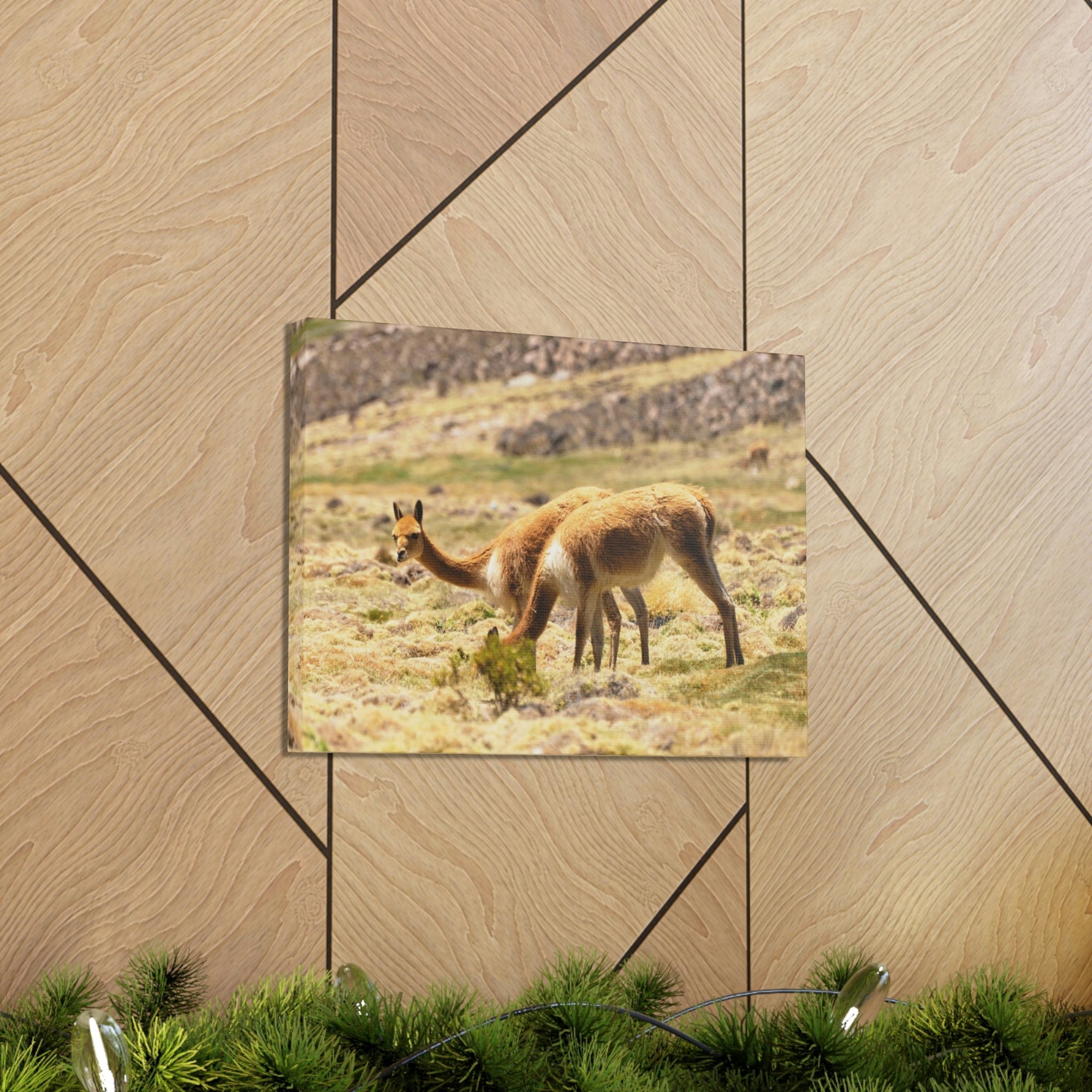 Scripture Walls Vicuna Hunting Vicuna on Hunt Print Animal Wall Art Wildlife Canvas Prints Wall Art Ready to Hang Unframed-Express Your Love Gifts