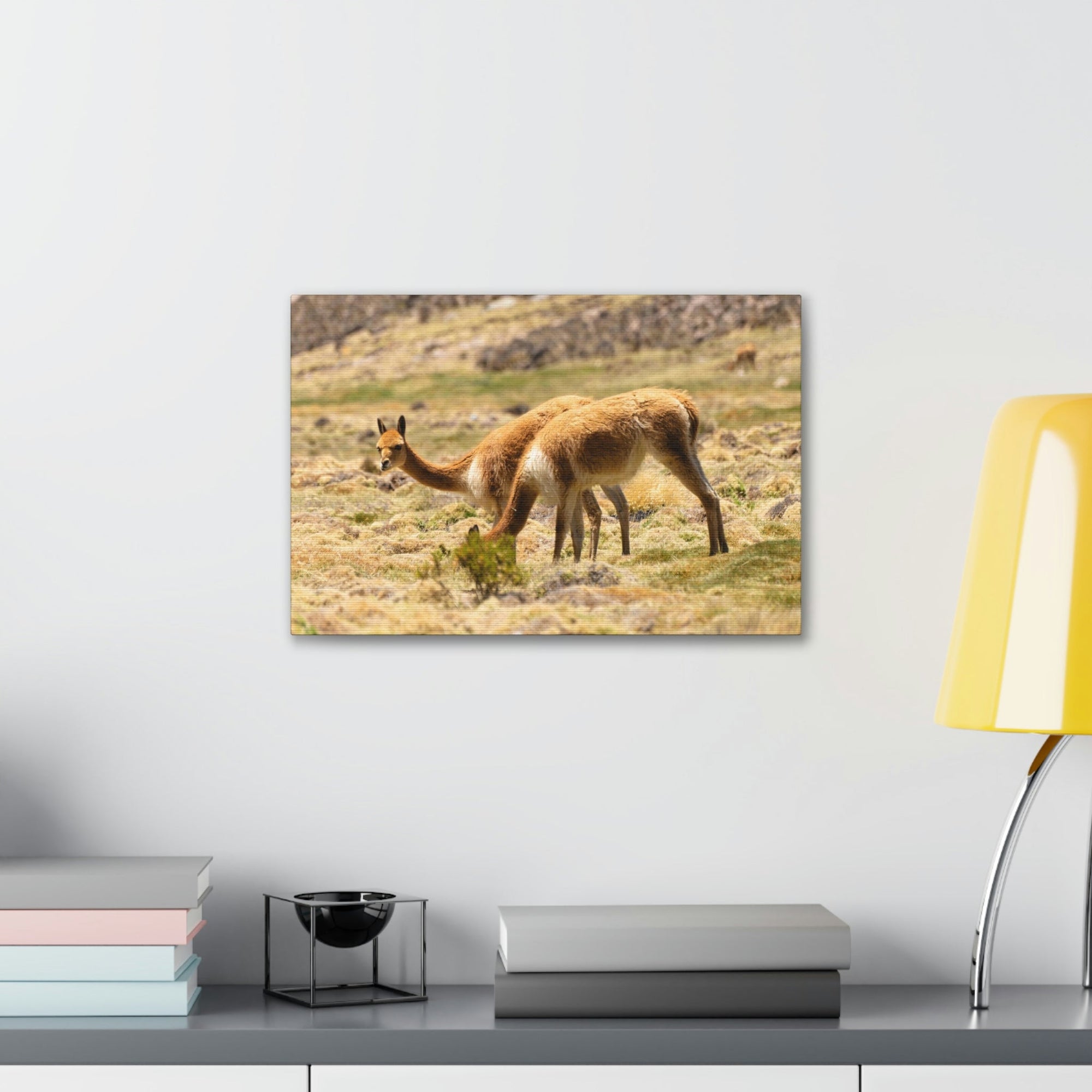 Scripture Walls Vicuna Hunting Vicuna on Hunt Print Animal Wall Art Wildlife Canvas Prints Wall Art Ready to Hang Unframed-Express Your Love Gifts