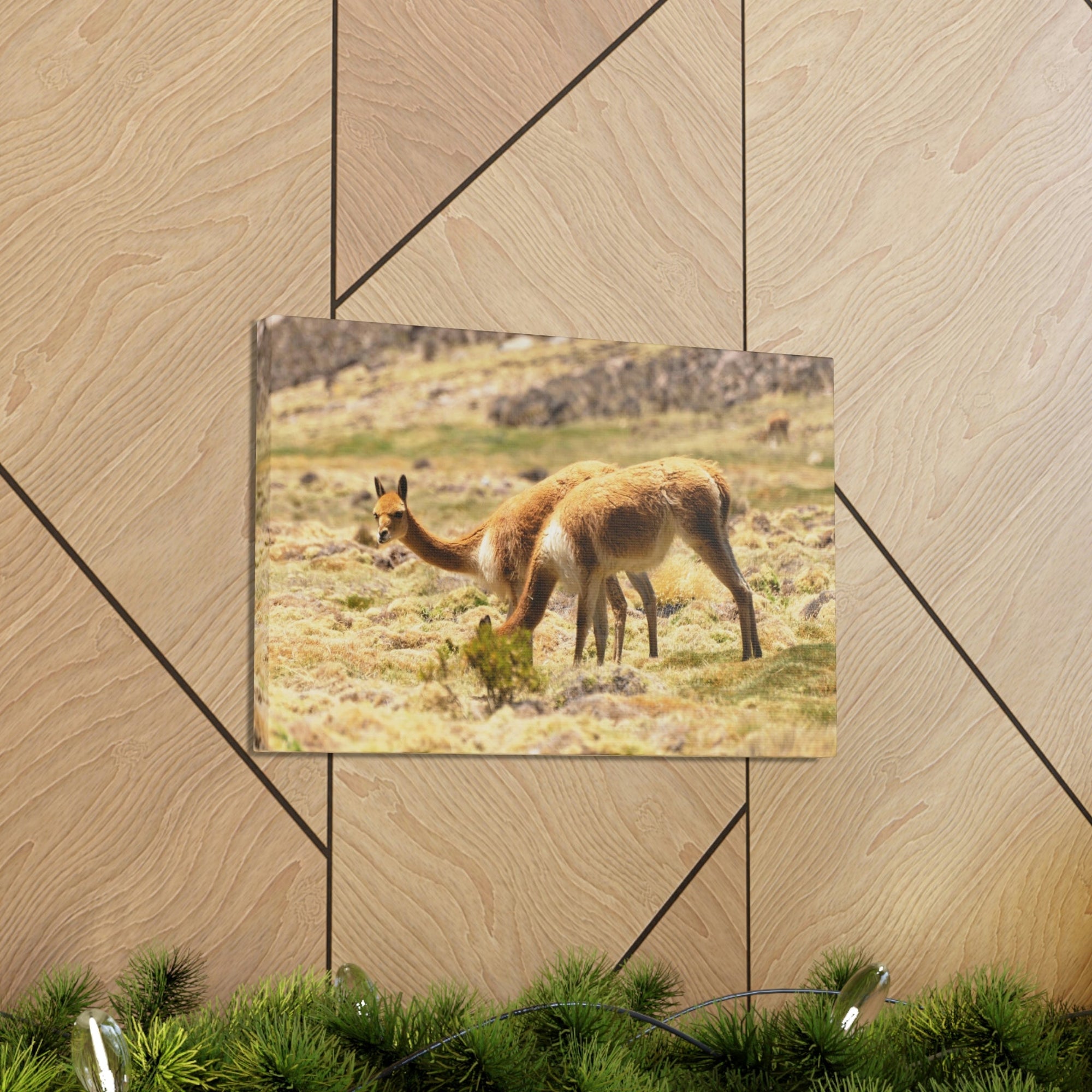 Scripture Walls Vicuna Hunting Vicuna on Hunt Print Animal Wall Art Wildlife Canvas Prints Wall Art Ready to Hang Unframed-Express Your Love Gifts