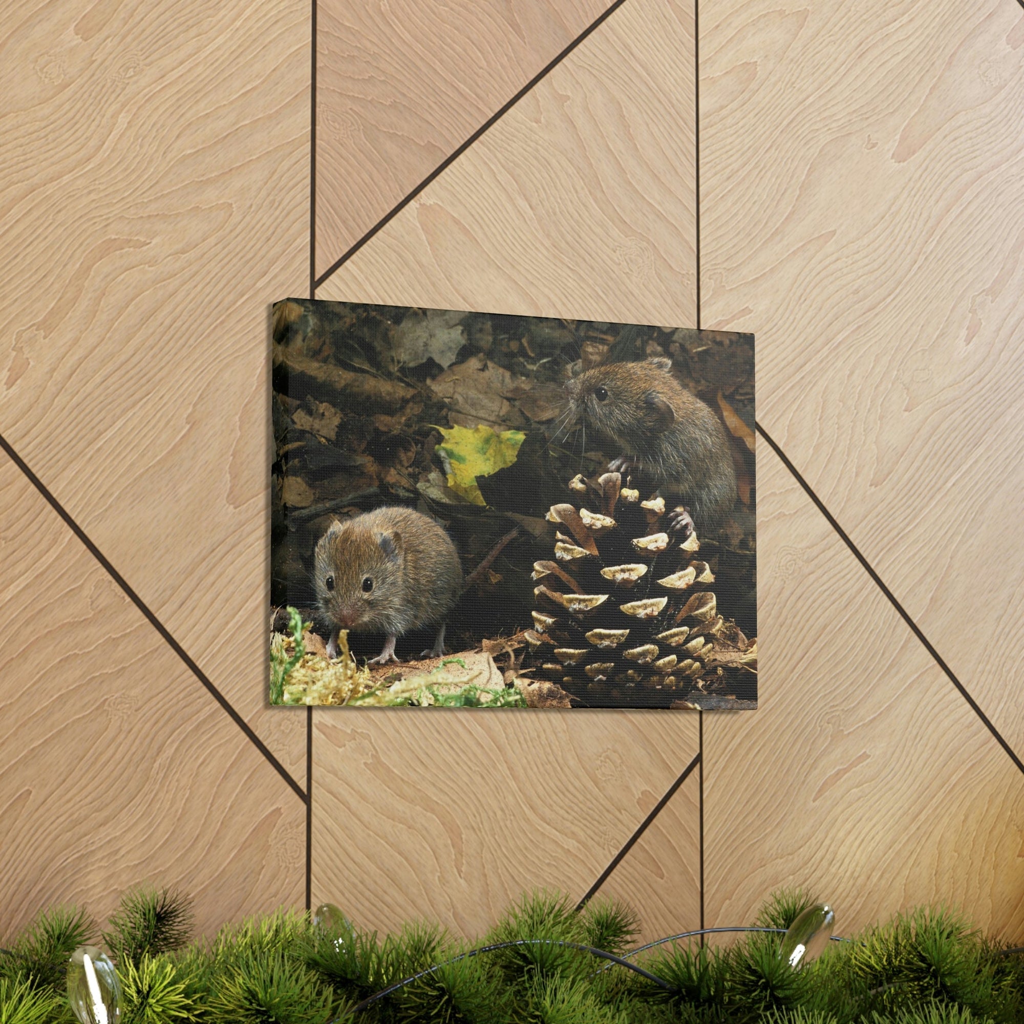 Scripture Walls Vole Couple Vole Couple Print Animal Wall Art Wildlife Canvas Prints Wall Art Ready to Hang Unframed-Express Your Love Gifts