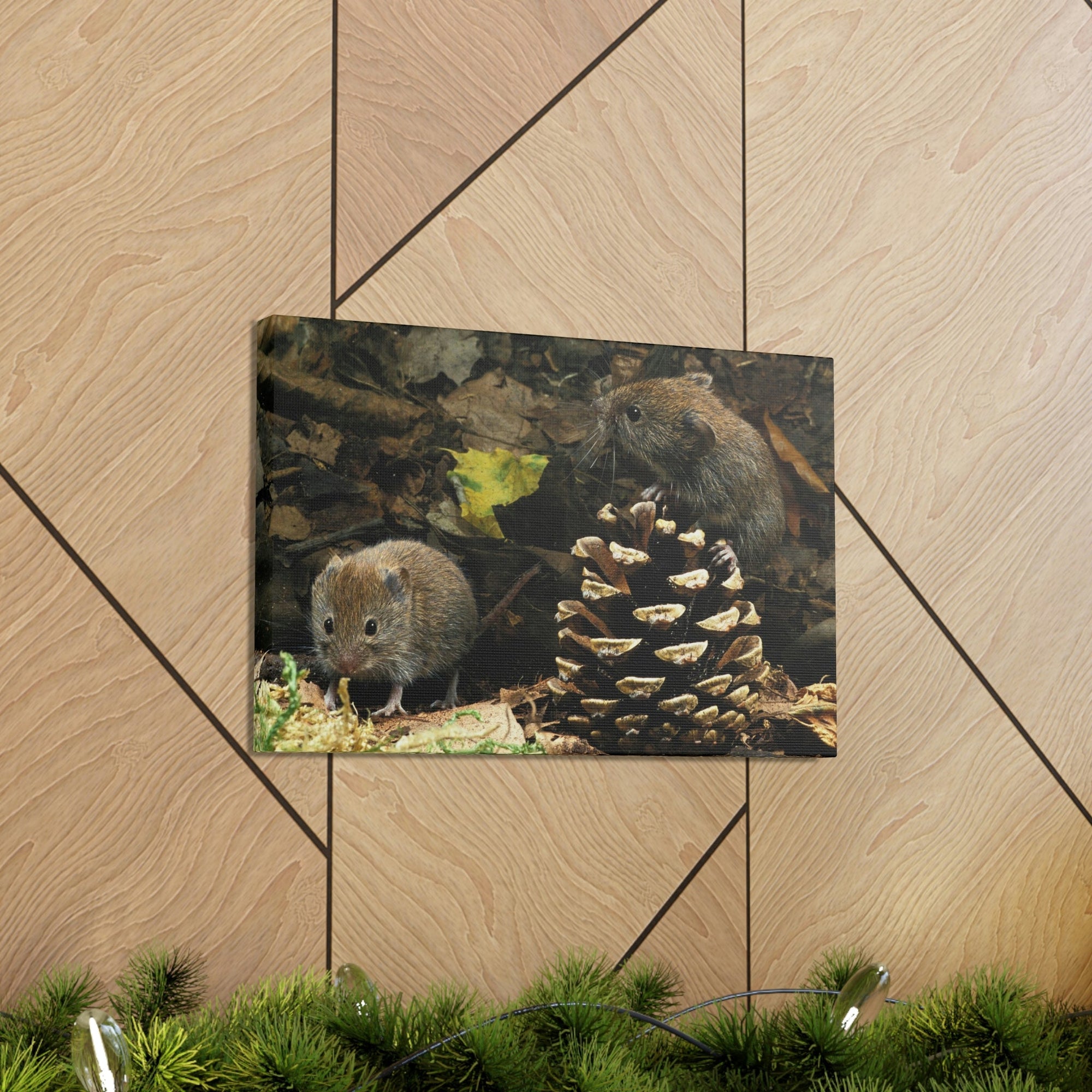 Scripture Walls Vole Couple Vole Couple Print Animal Wall Art Wildlife Canvas Prints Wall Art Ready to Hang Unframed-Express Your Love Gifts