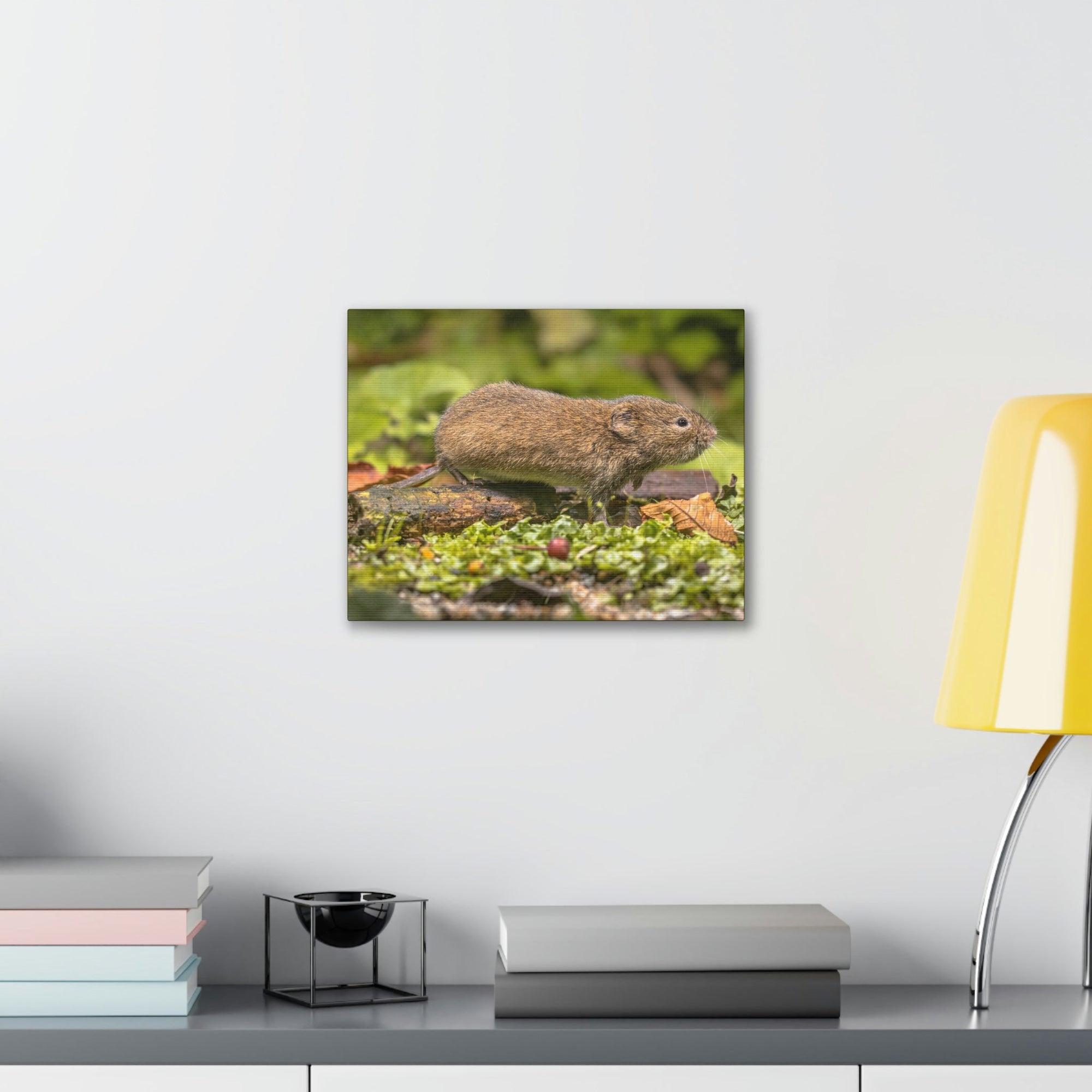 Scripture Walls Vole Hunting Vole on Hunt Print Animal Wall Art Wildlife Canvas Prints Wall Art Ready to Hang Unframed-Express Your Love Gifts