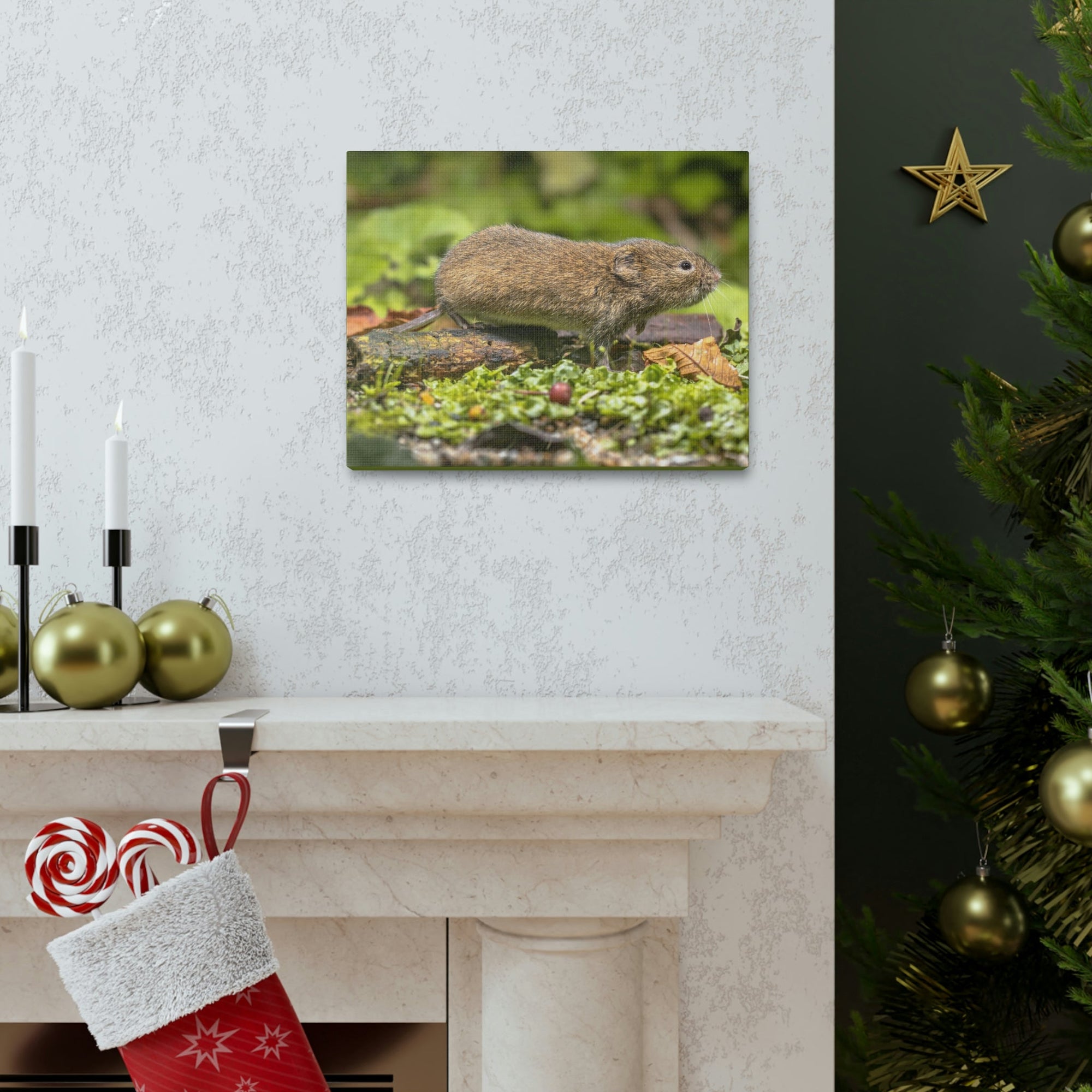 Scripture Walls Vole Hunting Vole on Hunt Print Animal Wall Art Wildlife Canvas Prints Wall Art Ready to Hang Unframed-Express Your Love Gifts