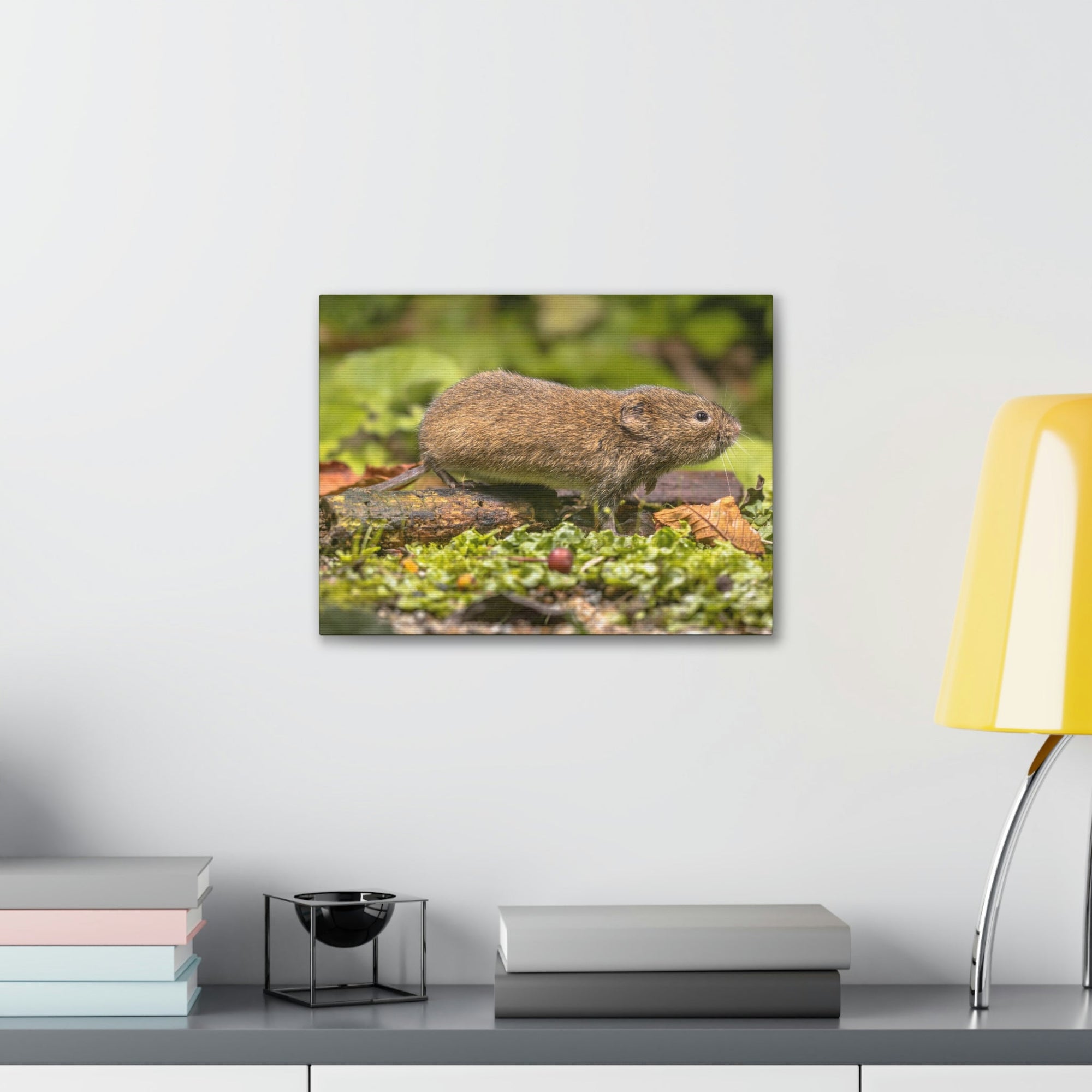 Scripture Walls Vole Hunting Vole on Hunt Print Animal Wall Art Wildlife Canvas Prints Wall Art Ready to Hang Unframed-Express Your Love Gifts