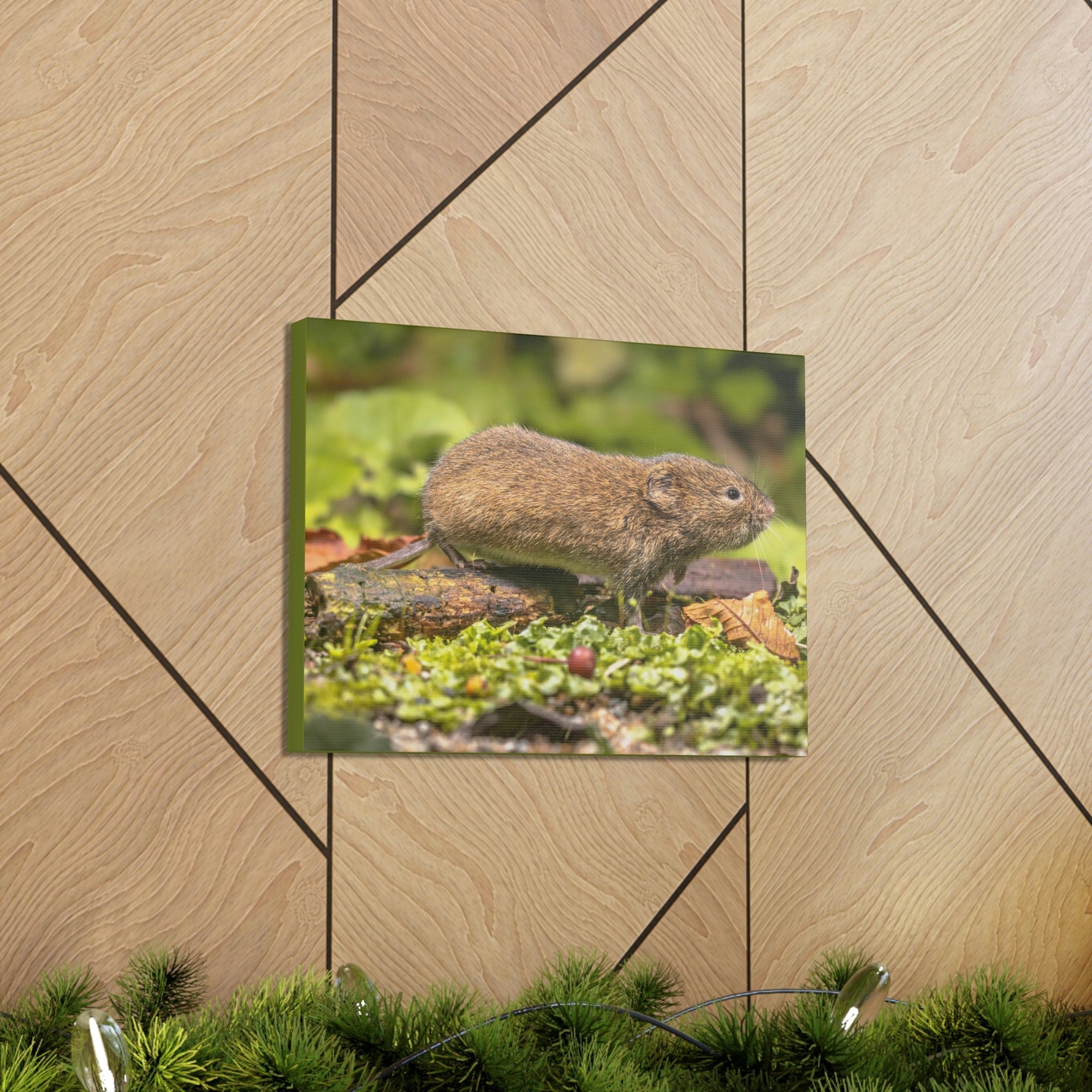 Scripture Walls Vole Hunting Vole on Hunt Print Animal Wall Art Wildlife Canvas Prints Wall Art Ready to Hang Unframed-Express Your Love Gifts