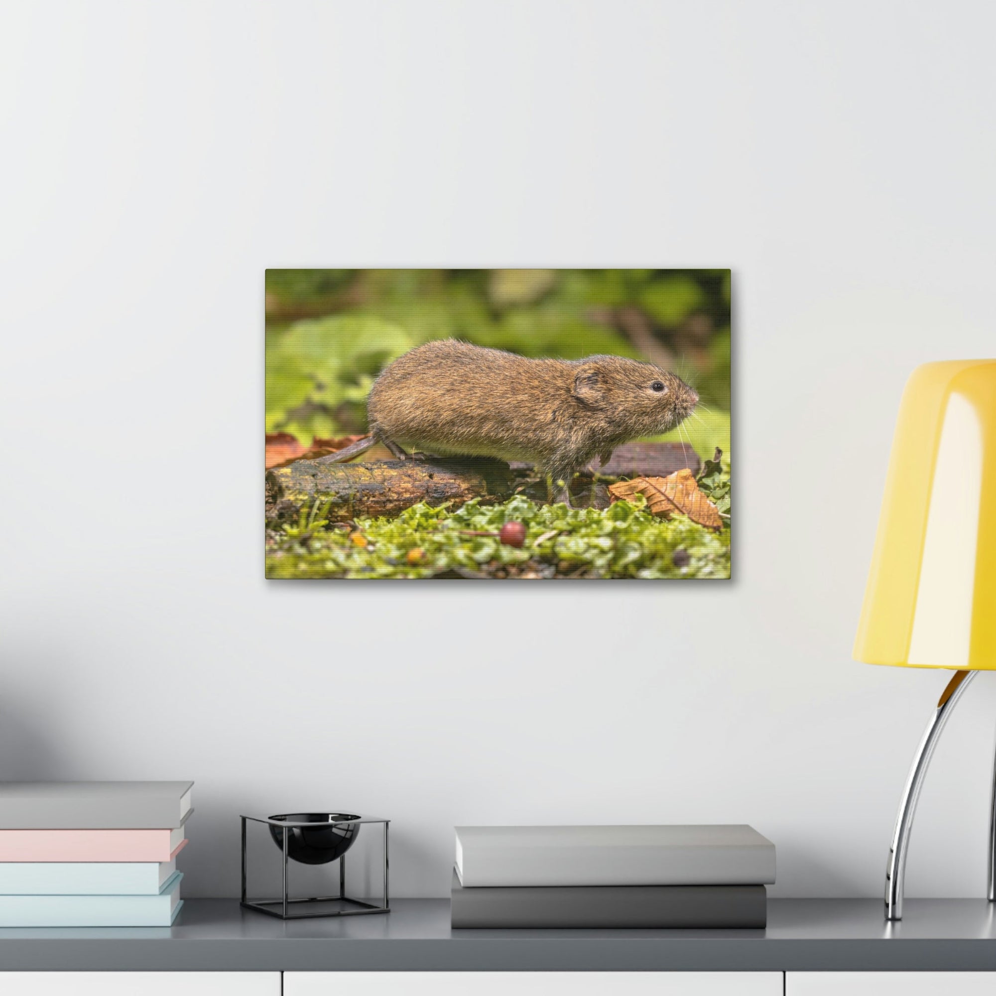 Scripture Walls Vole Hunting Vole on Hunt Print Animal Wall Art Wildlife Canvas Prints Wall Art Ready to Hang Unframed-Express Your Love Gifts